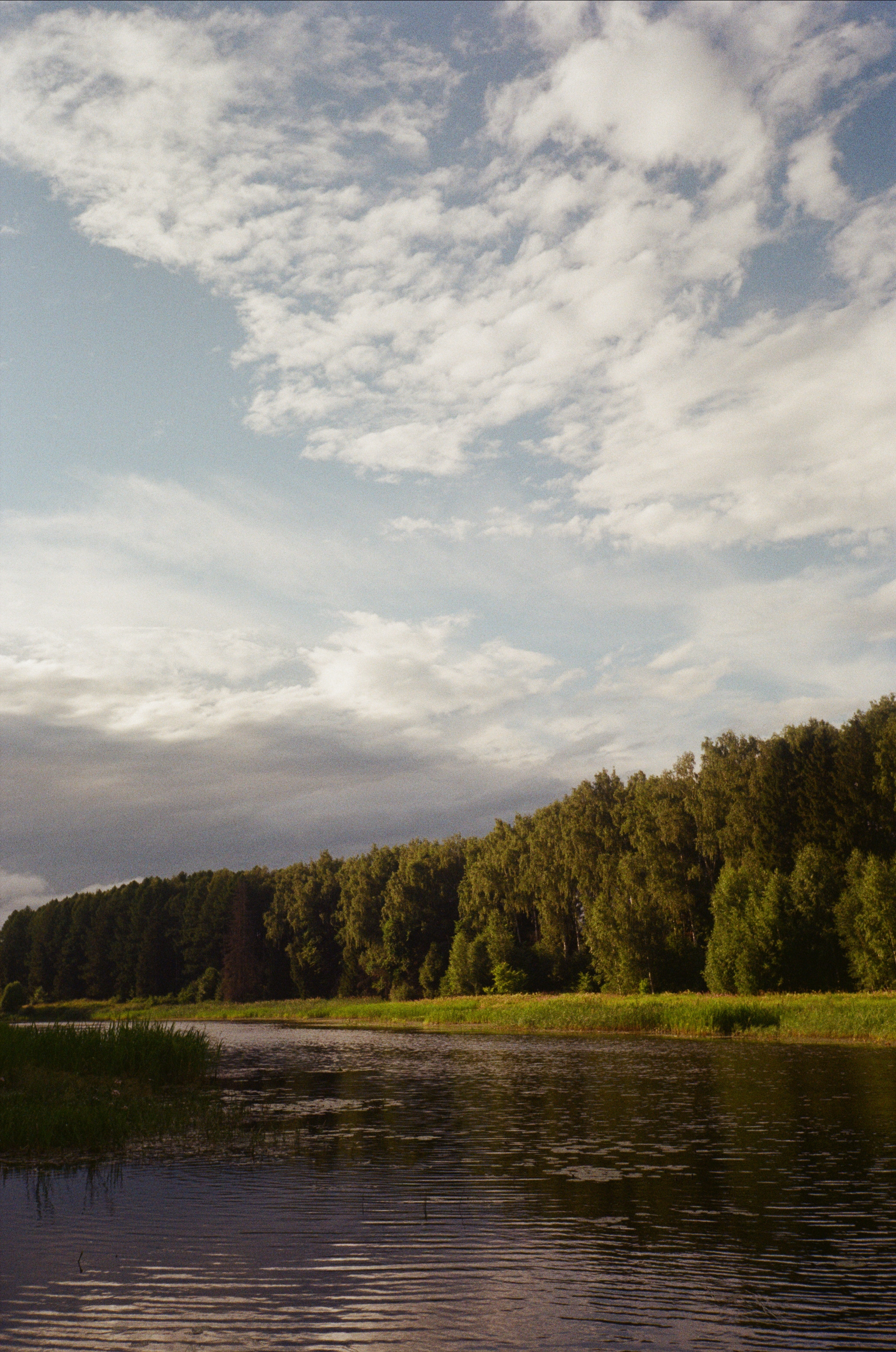 Тихая Заводь. Лес и пляж. Фотограф-документалист Мария Осокина