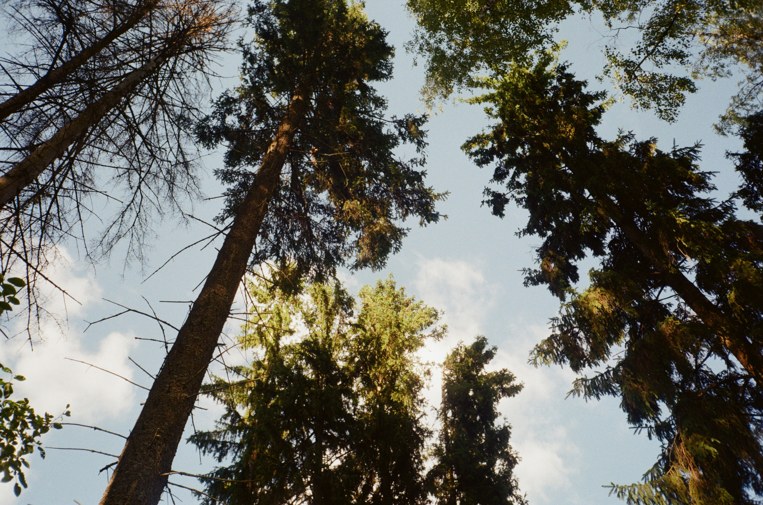 Тихая Заводь. Golden hour. Фотограф-документалист Мария Осокина