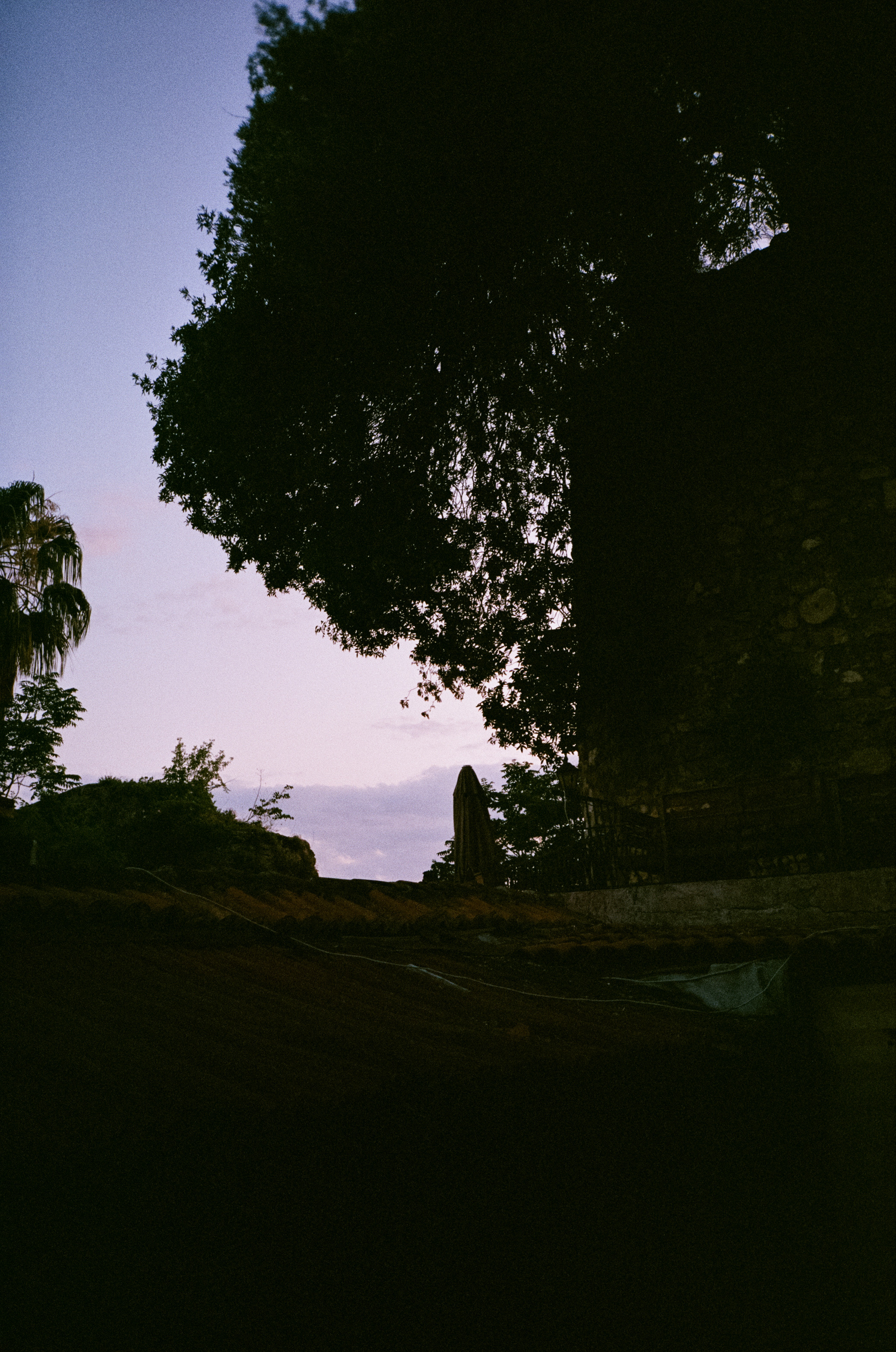 Вечерний город, улочка баров, пальмы и рассвет нового дня. Фотограф-документалист Мария Осокина