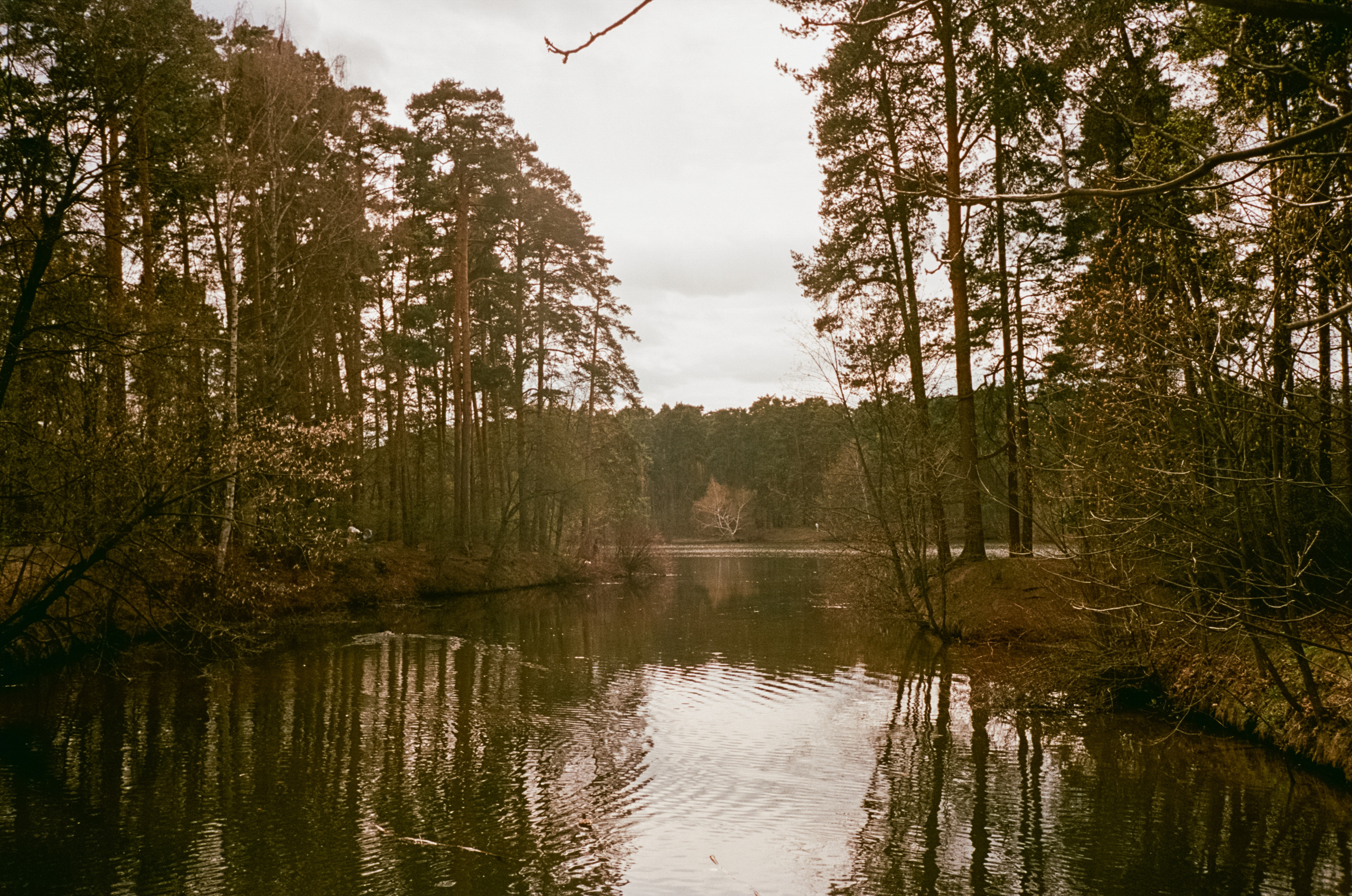 Серебряный Бор. Май. Сепия. Фотограф-документалист Мария Осокина