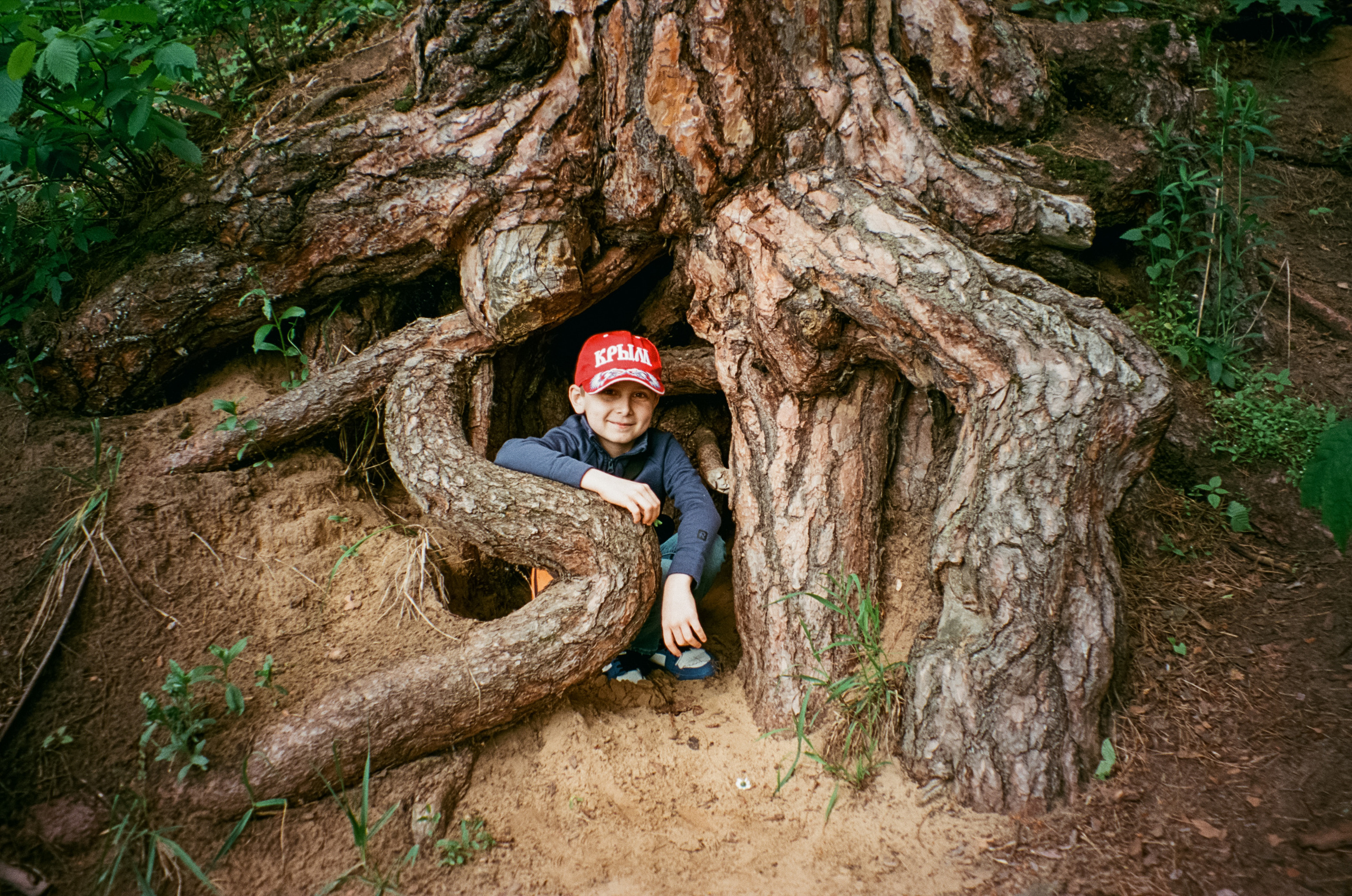 Архангельское. Июнь. Фотограф-документалист Мария Осокина