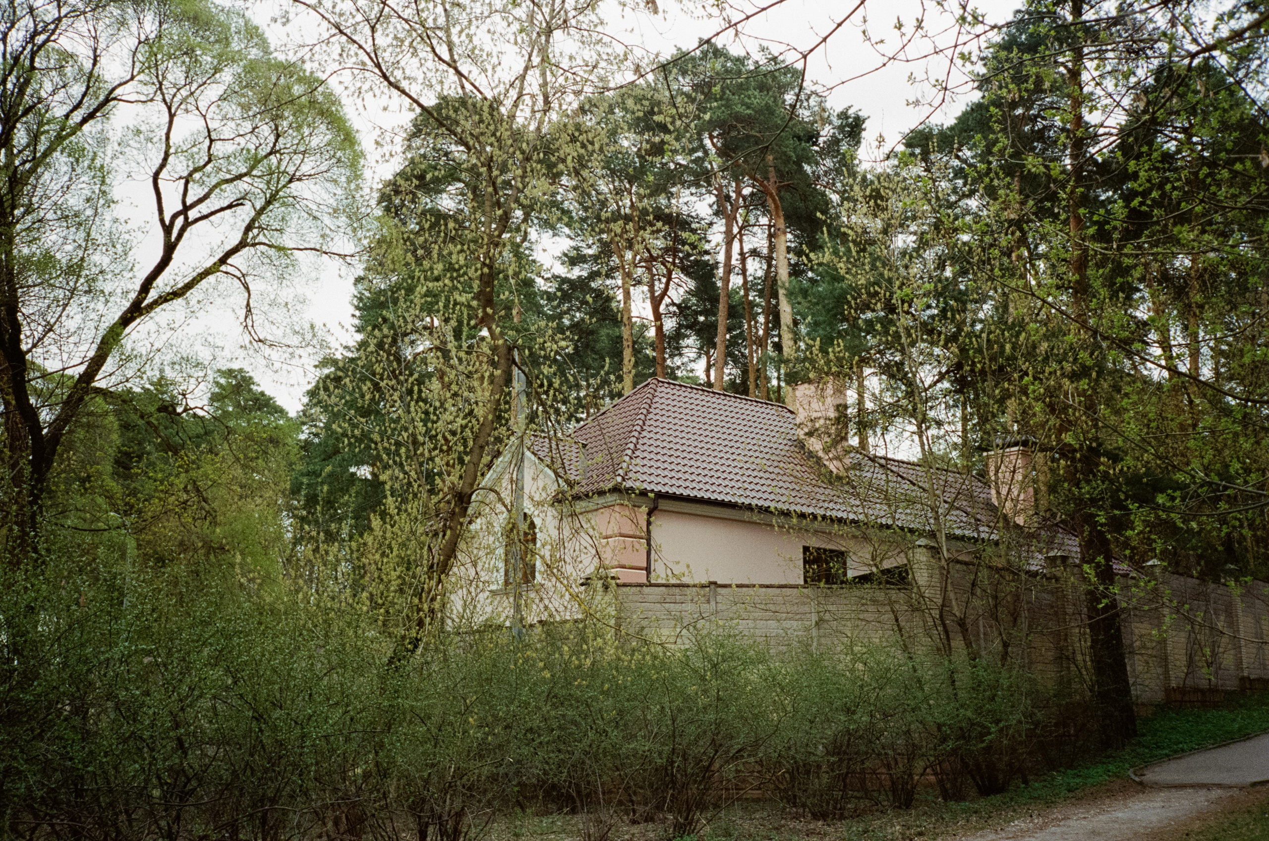 Серебряный бор. Весна. Фотограф-документалист Мария Осокина