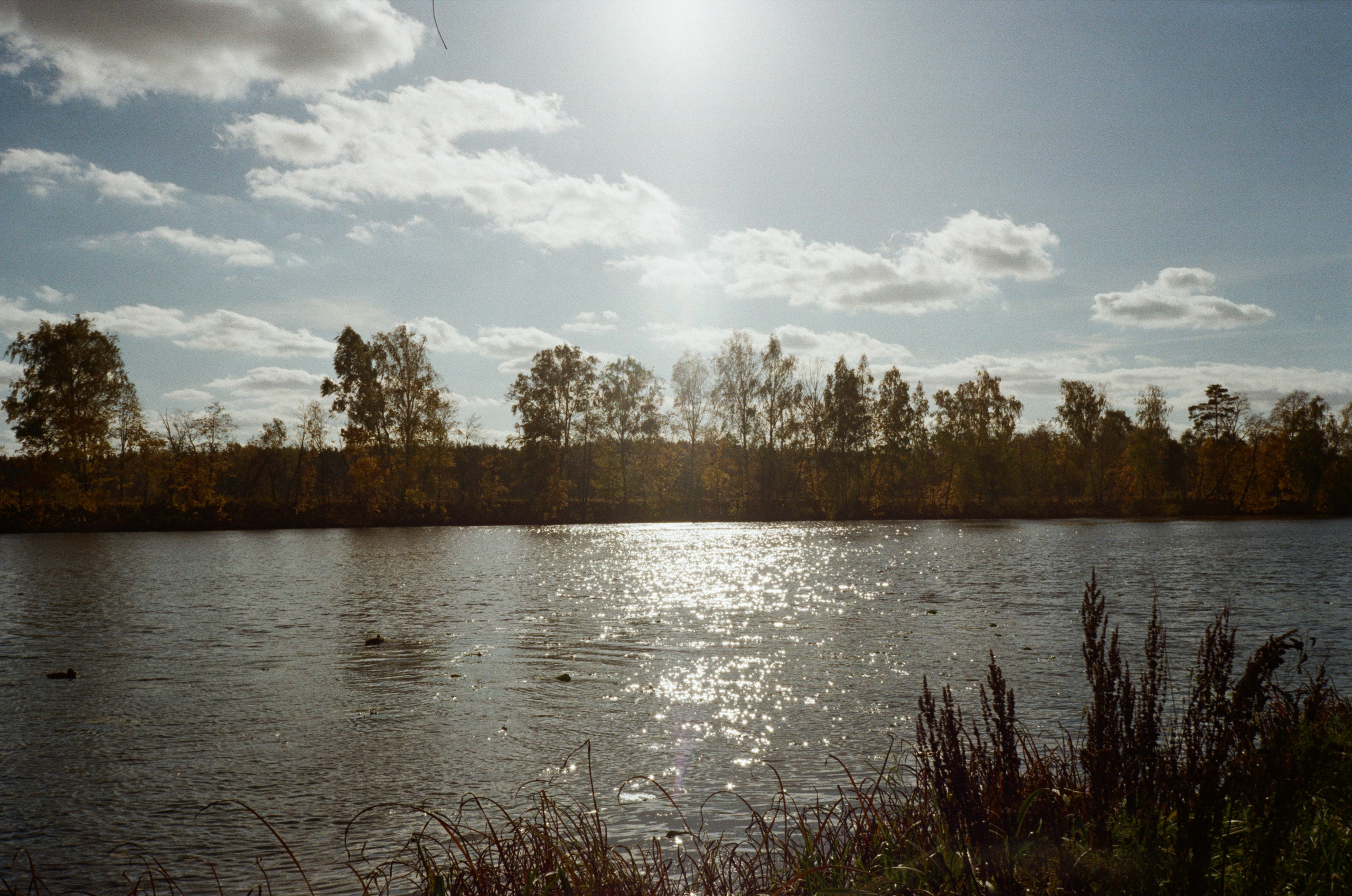 Архангельское. Золотая осень. Фотограф-документалист Мария Осокина