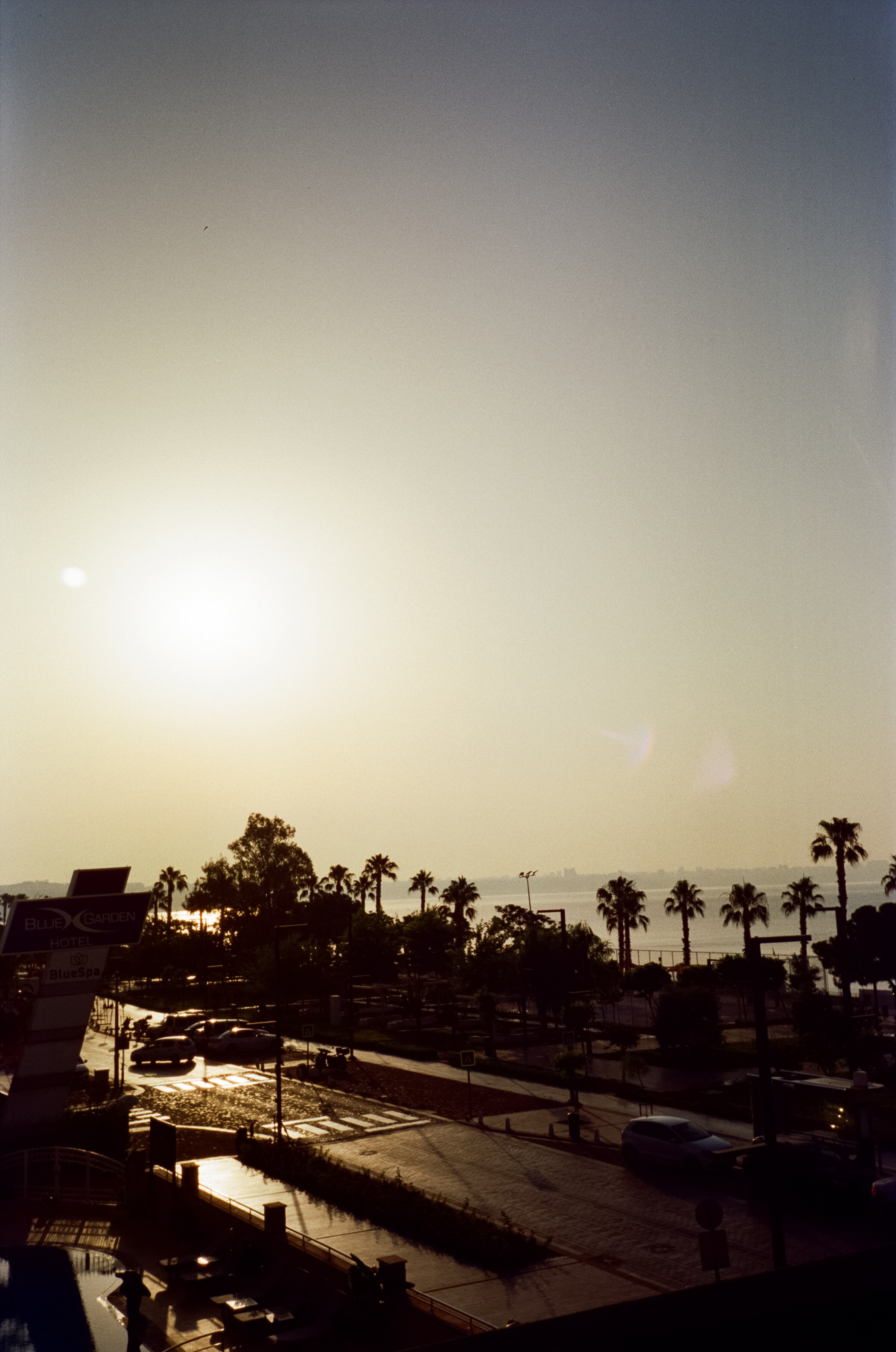 Улочки старого города, котики и кафе GeLatte. Фотограф-документалист Мария Осокина