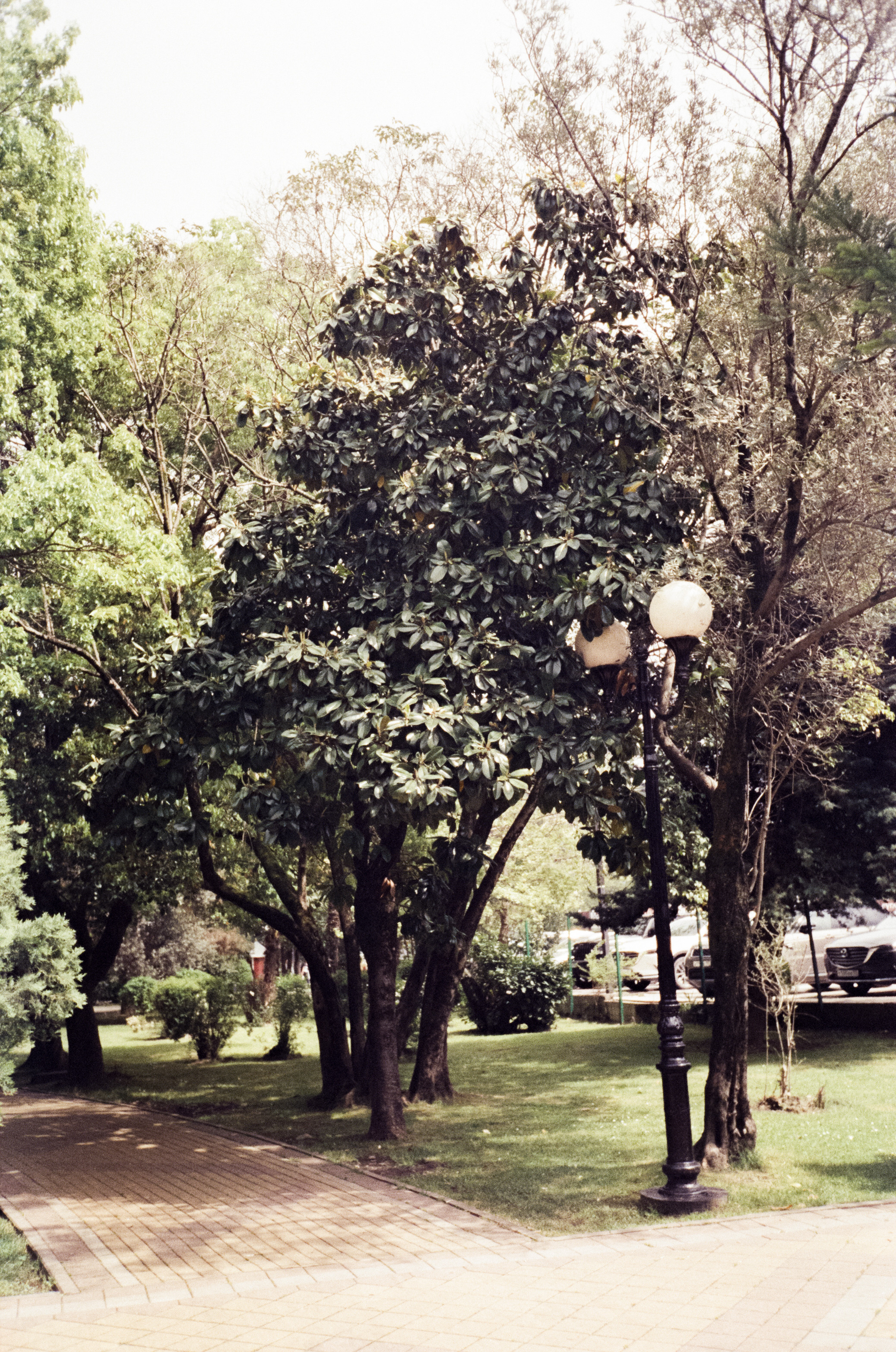 Комсомольский сквер, улочки Сочи и морской порт. Фотограф-документалист Мария Осокина