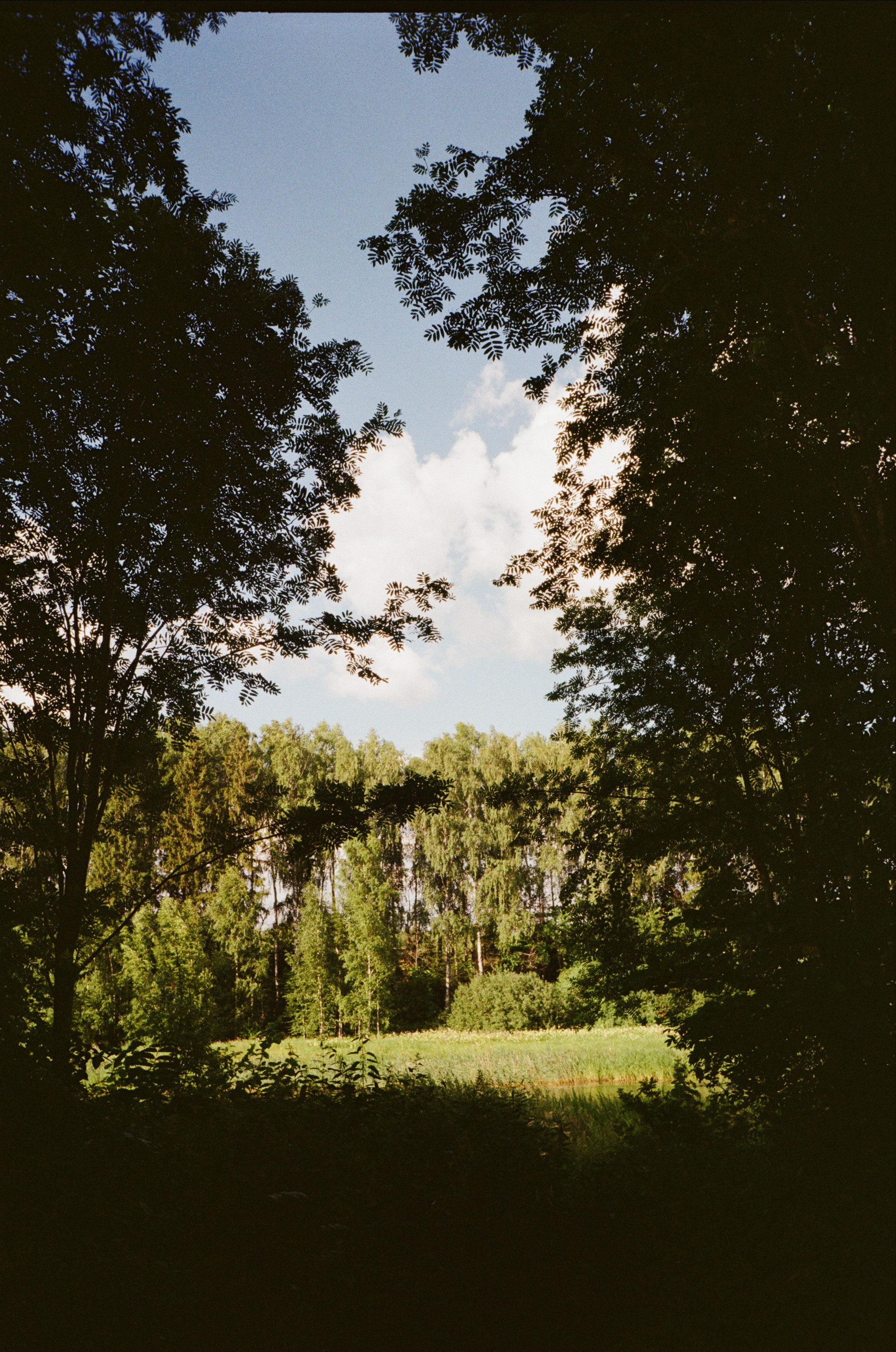 Тихая Заводь. Вечерние прогулки. Фотограф-документалист Мария Осокина