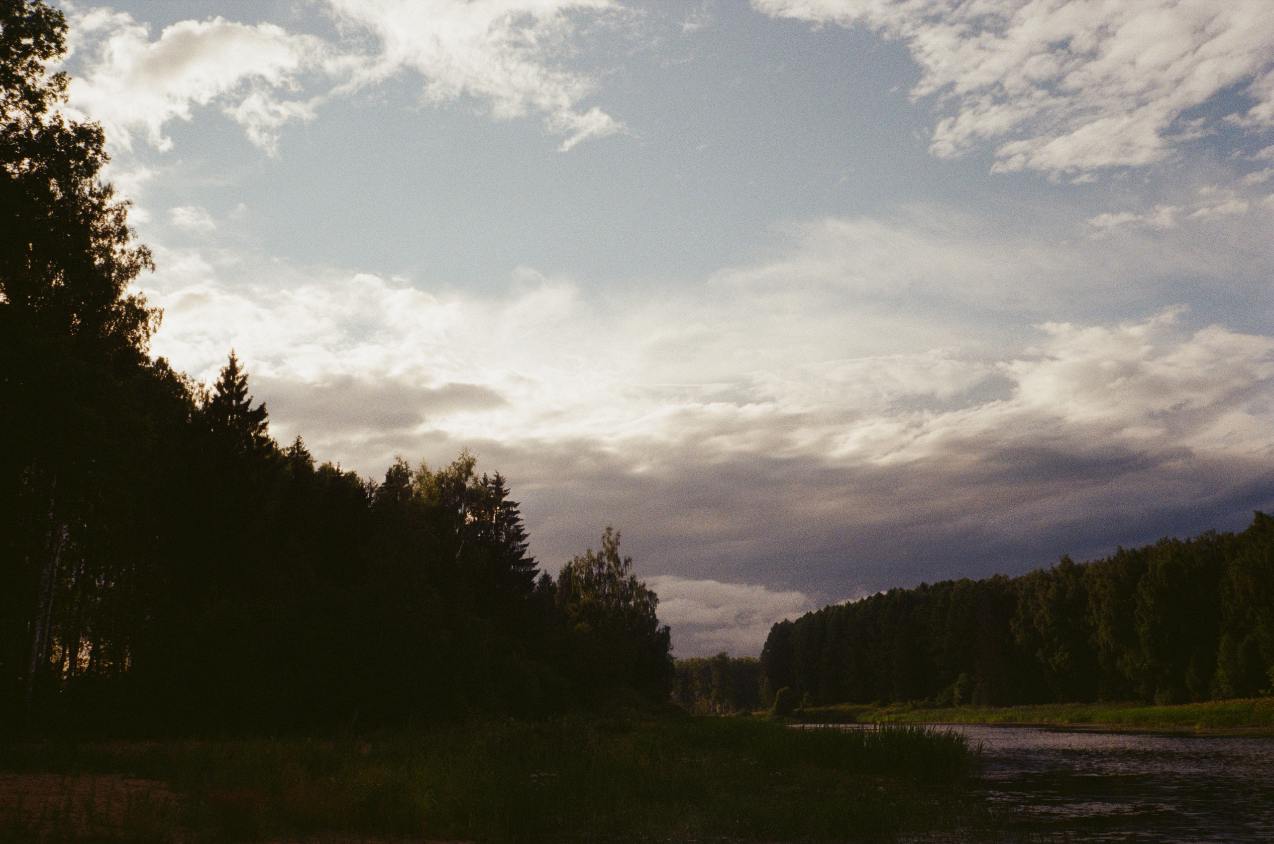 Тихая Заводь. Лес и пляж. Фотограф-документалист Мария Осокина