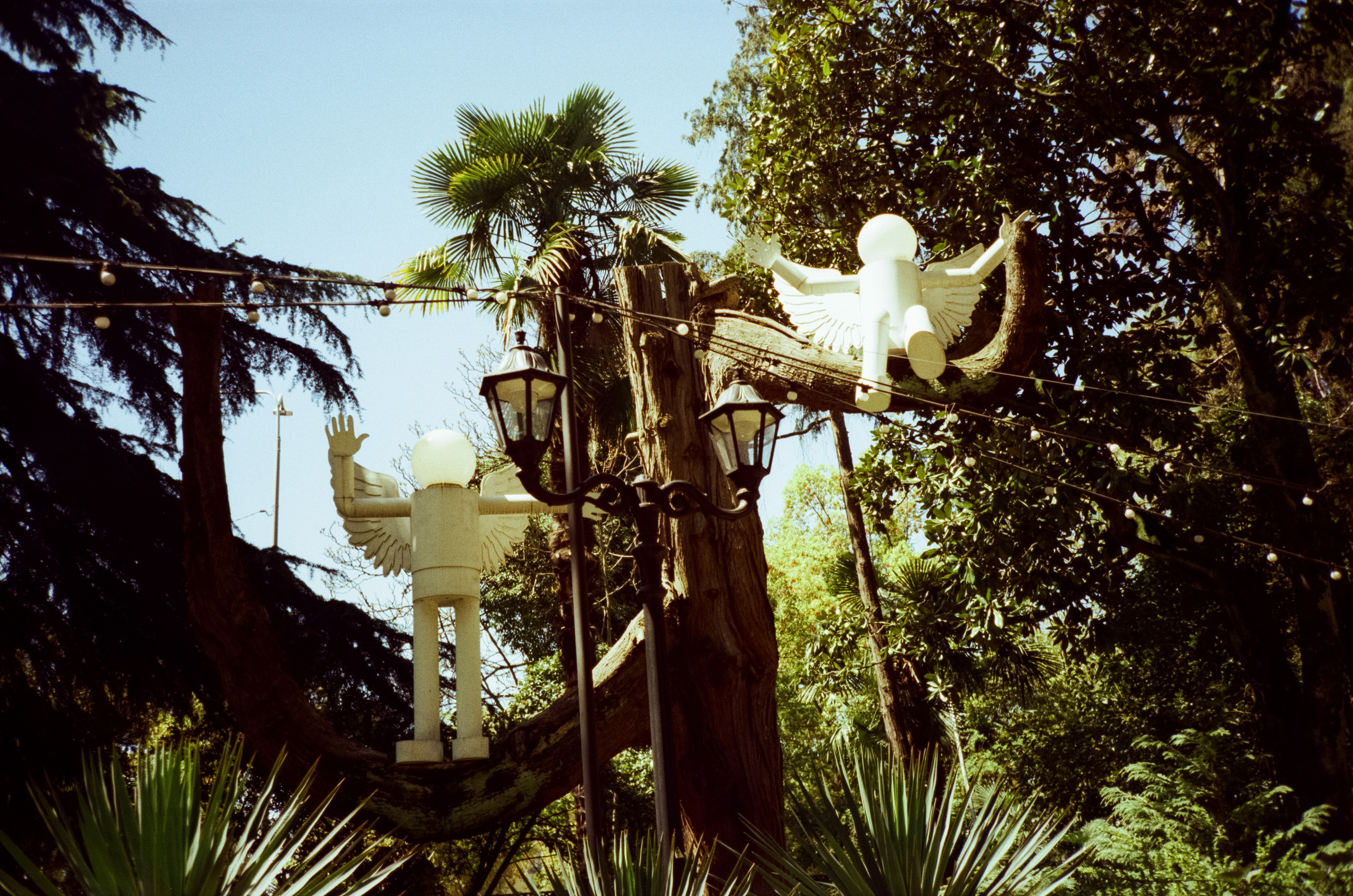 Парк Ривьера. Фотограф-документалист Мария Осокина