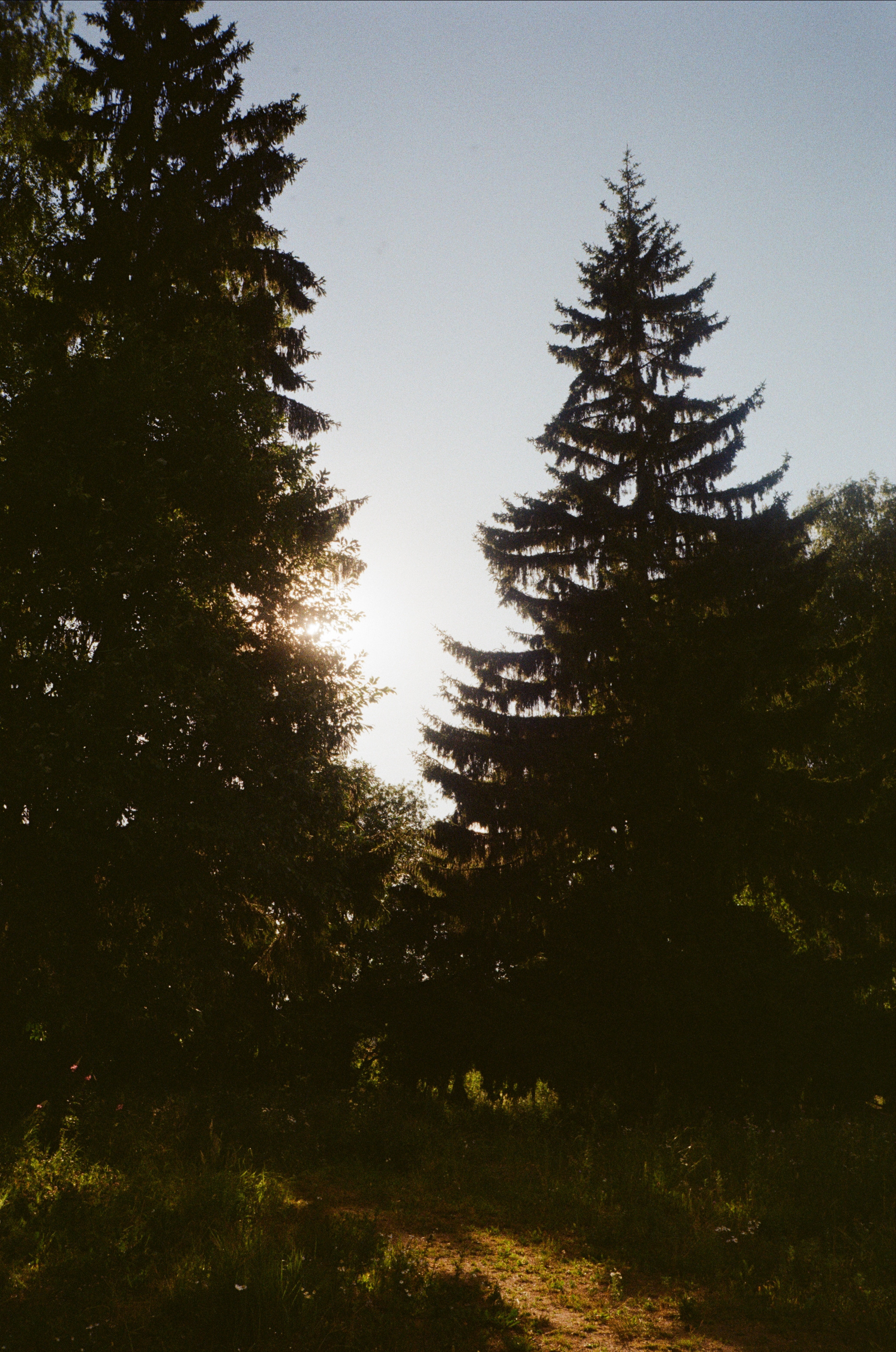 Тихая Заводь. Вечерние прогулки. Фотограф-документалист Мария Осокина