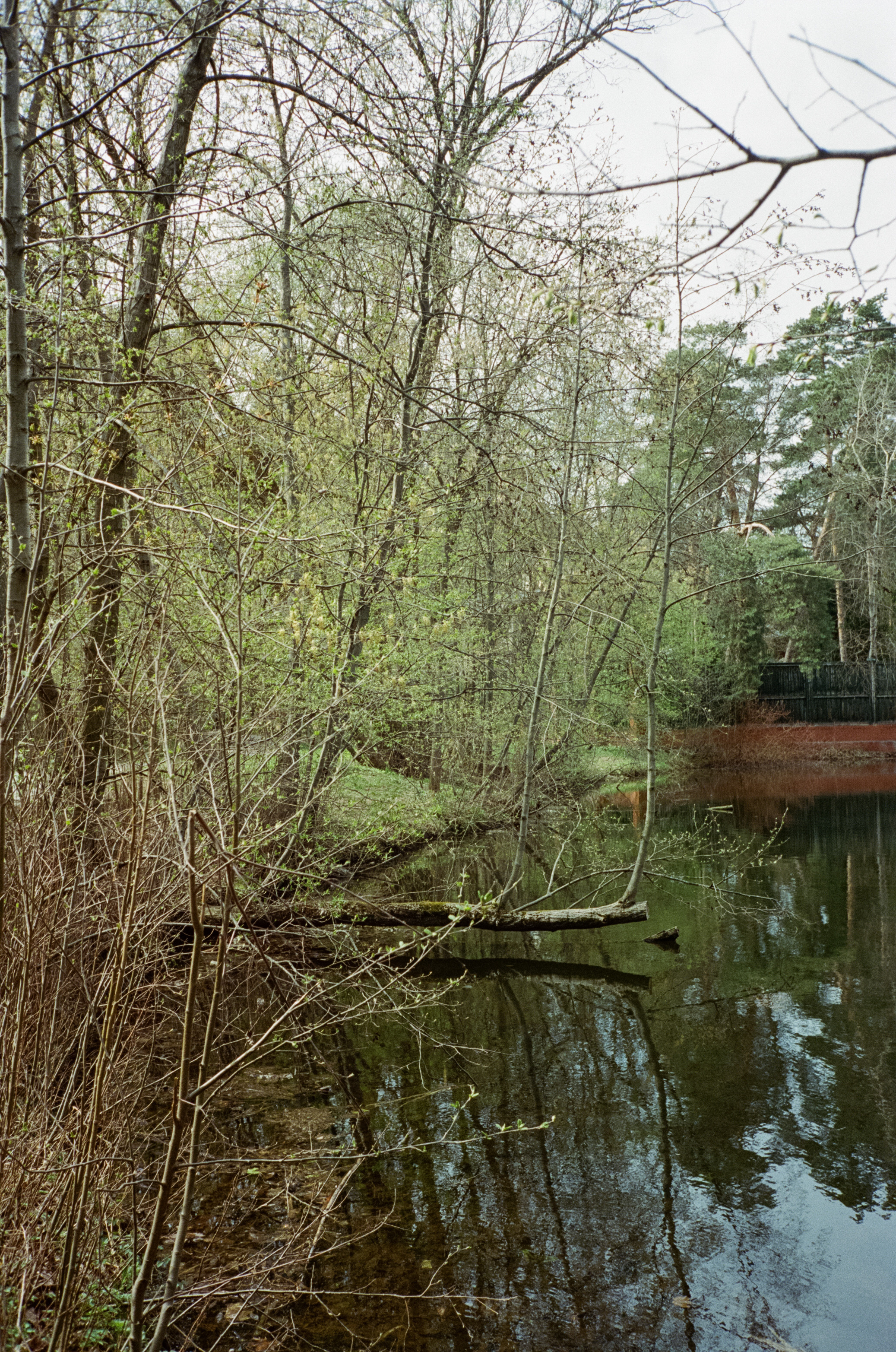 Серебряный бор. Весна. Фотограф-документалист Мария Осокина