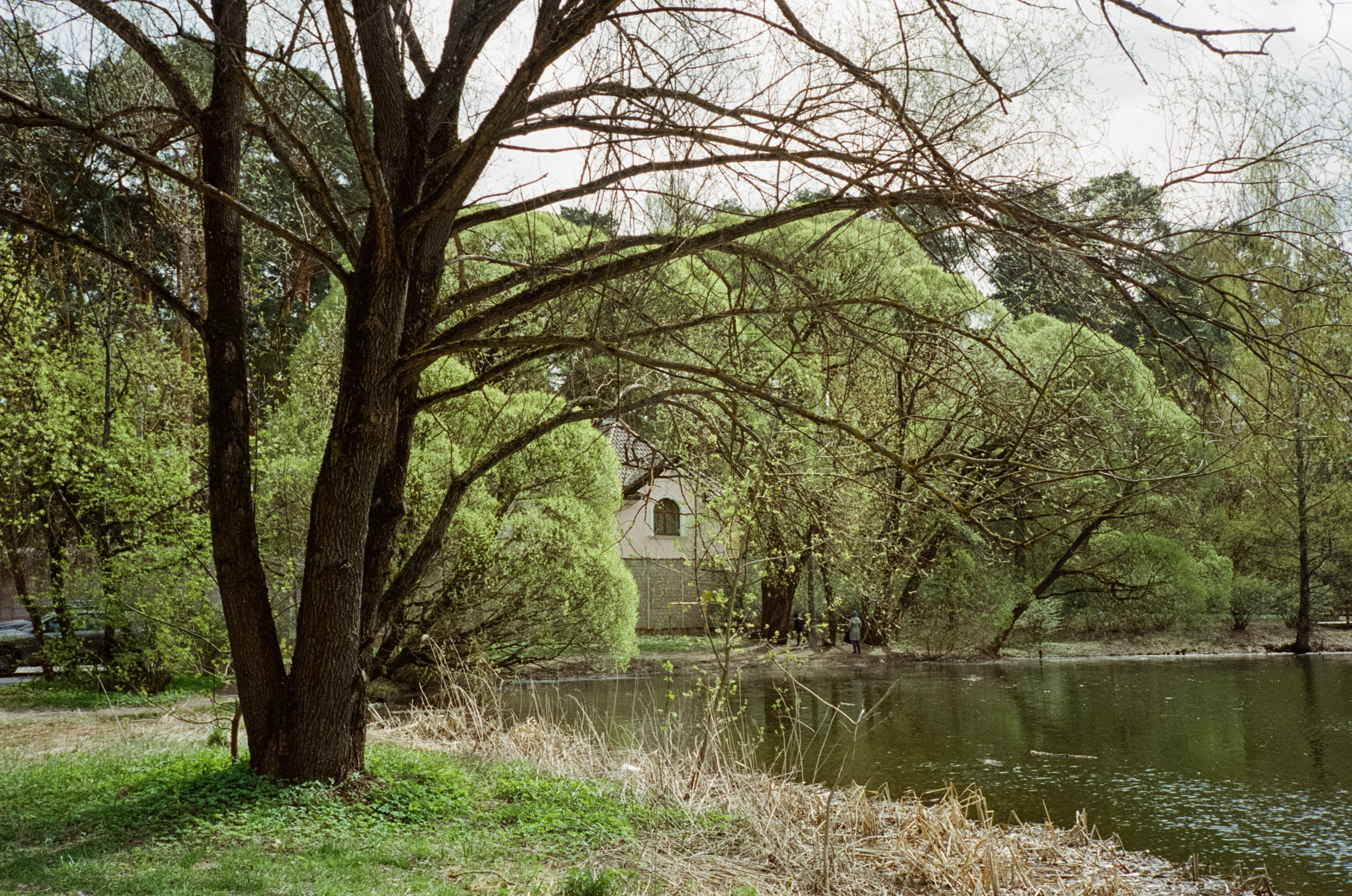 Серебряный бор. Весна. Фотограф-документалист Мария Осокина