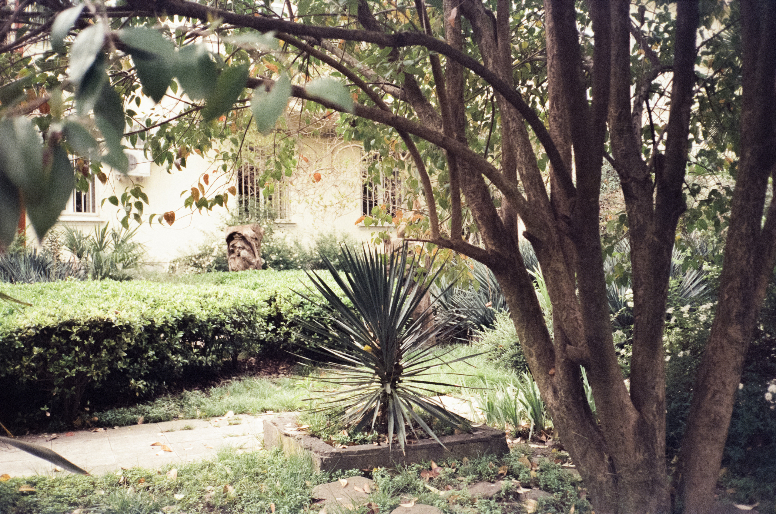 Комсомольский сквер, улочки Сочи и морской порт. Фотограф-документалист Мария Осокина