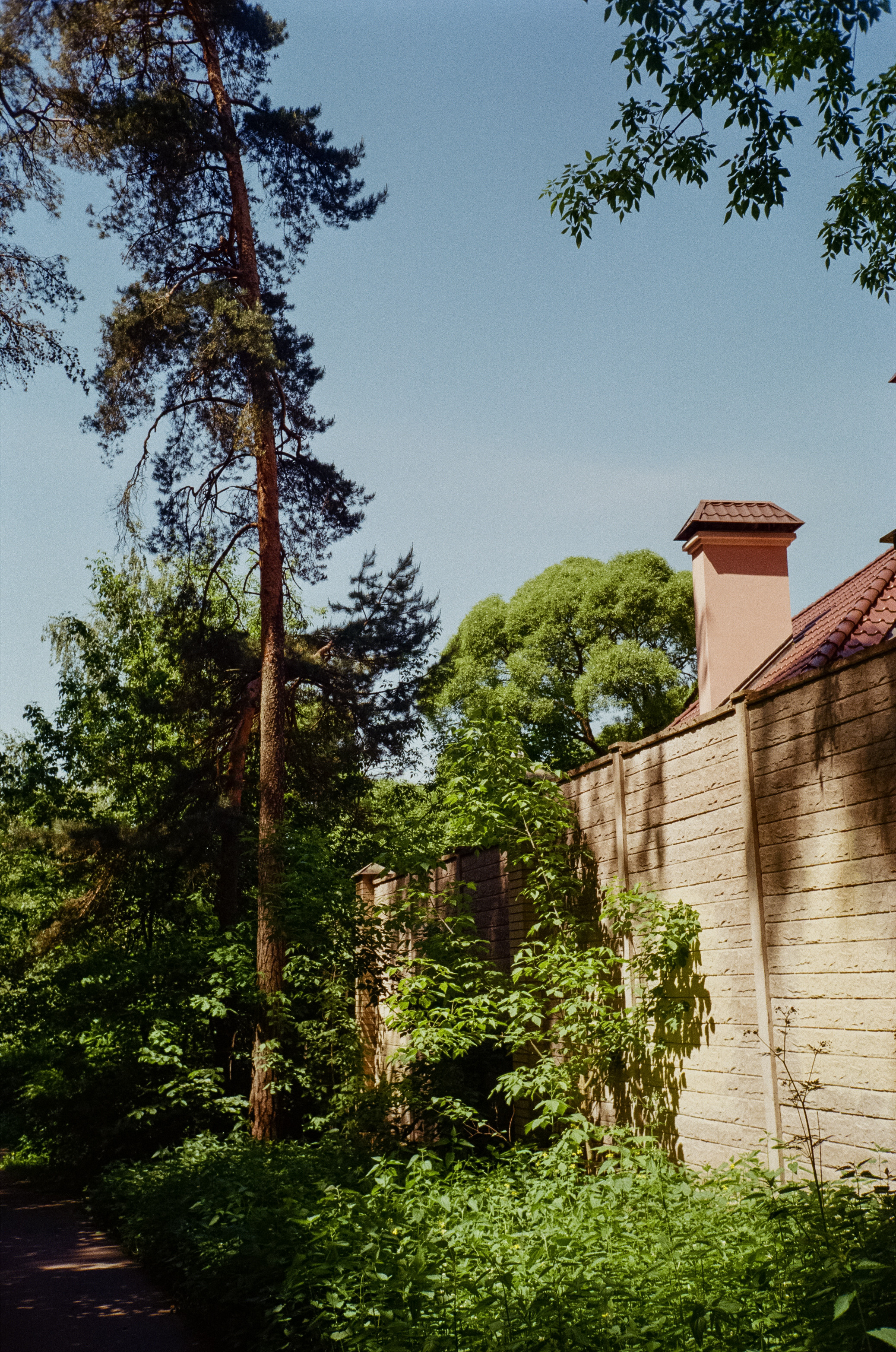 Серебряный Бор. Импрессионизм. Фотограф-документалист Мария Осокина