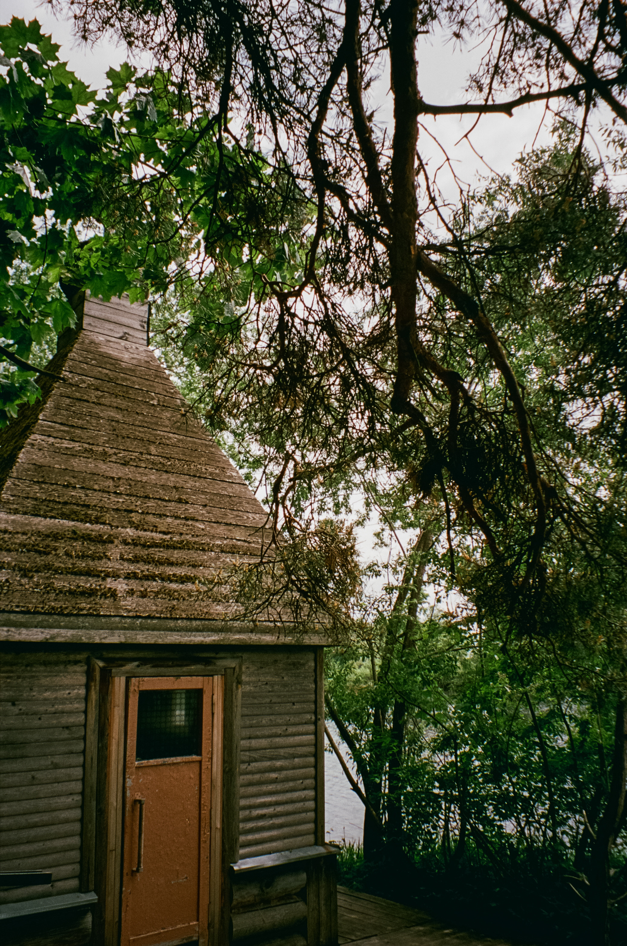 Архангельское. Июнь. Фотограф-документалист Мария Осокина