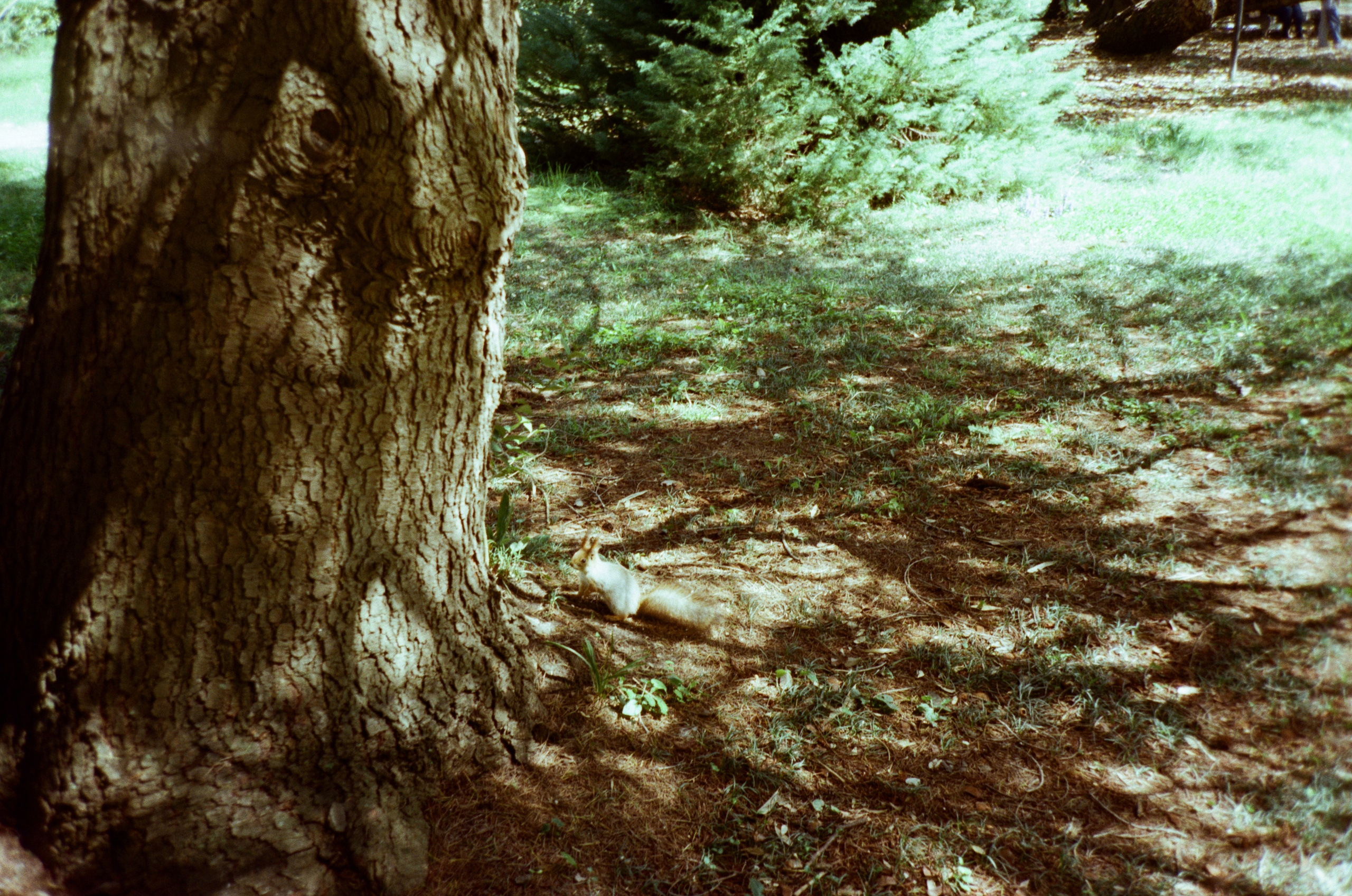 Экзотика Южных культур. Фотограф-документалист Мария Осокина