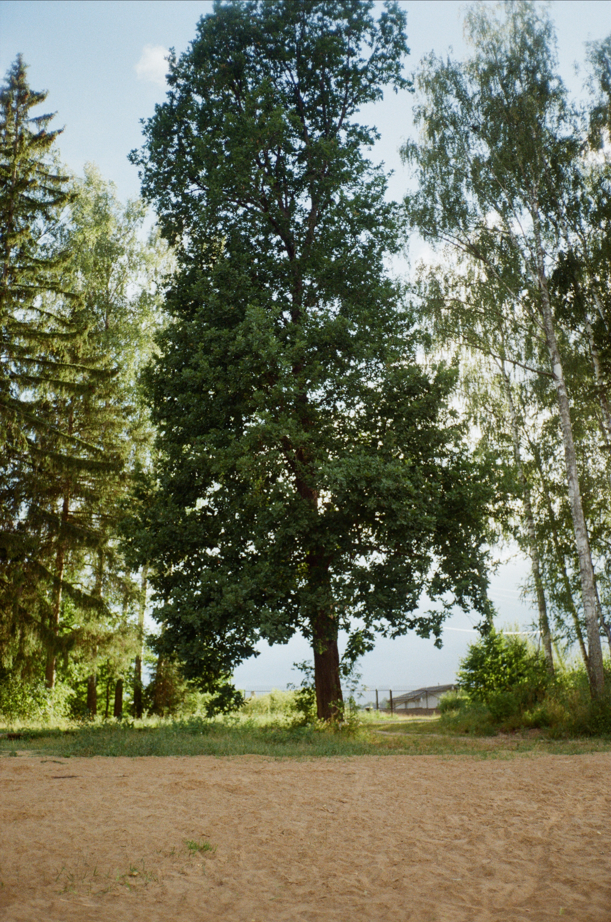 Тихая Заводь. Лес и пляж. Фотограф-документалист Мария Осокина