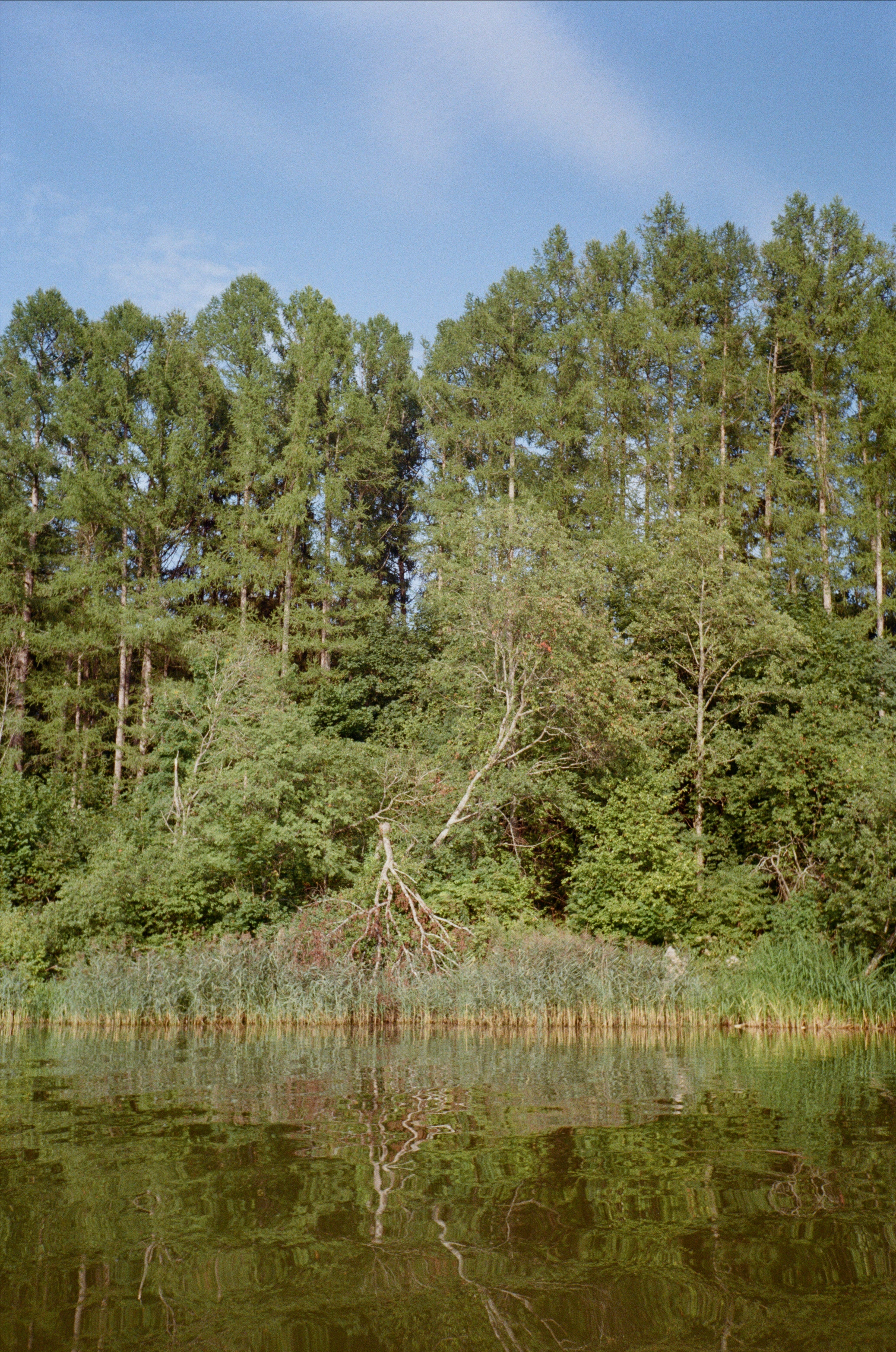 Тихая Заводь. Вечерний sup. Фотограф-документалист Мария Осокина