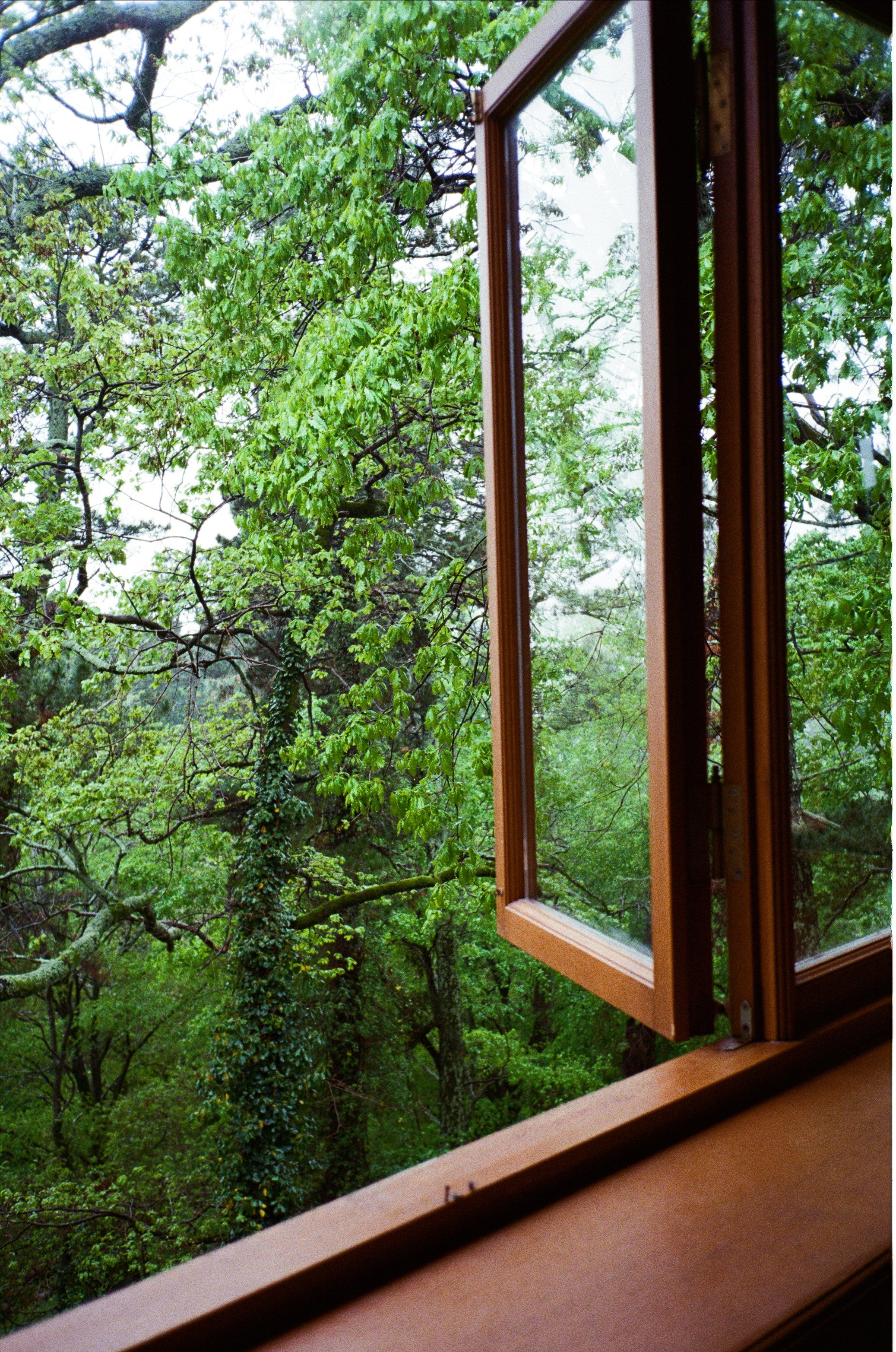 Сочинская дача Сталина. Фотограф-документалист Мария Осокина