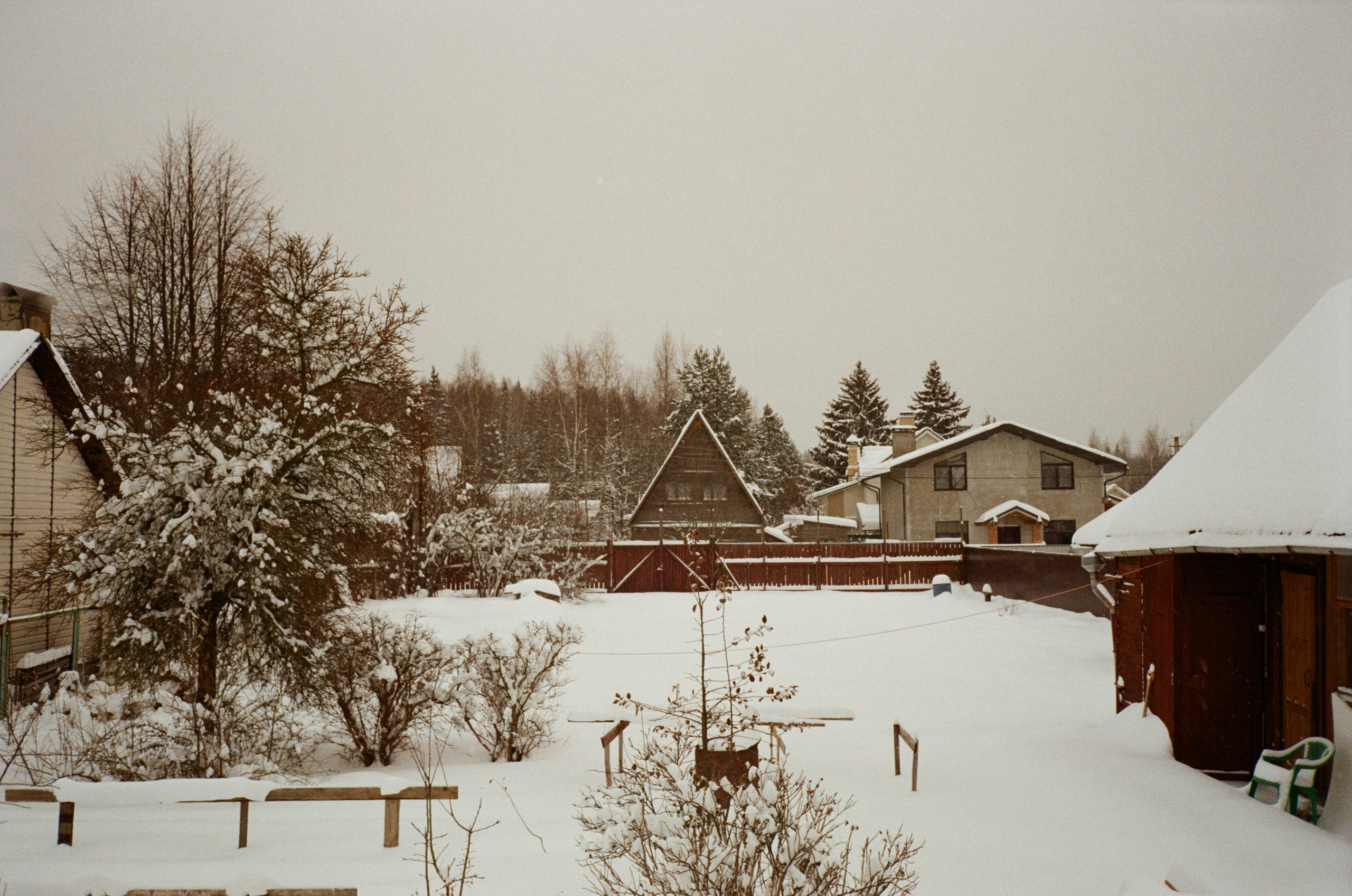 Давыдовское. Снежный декабрь. Фотограф-документалист Мария Осокина