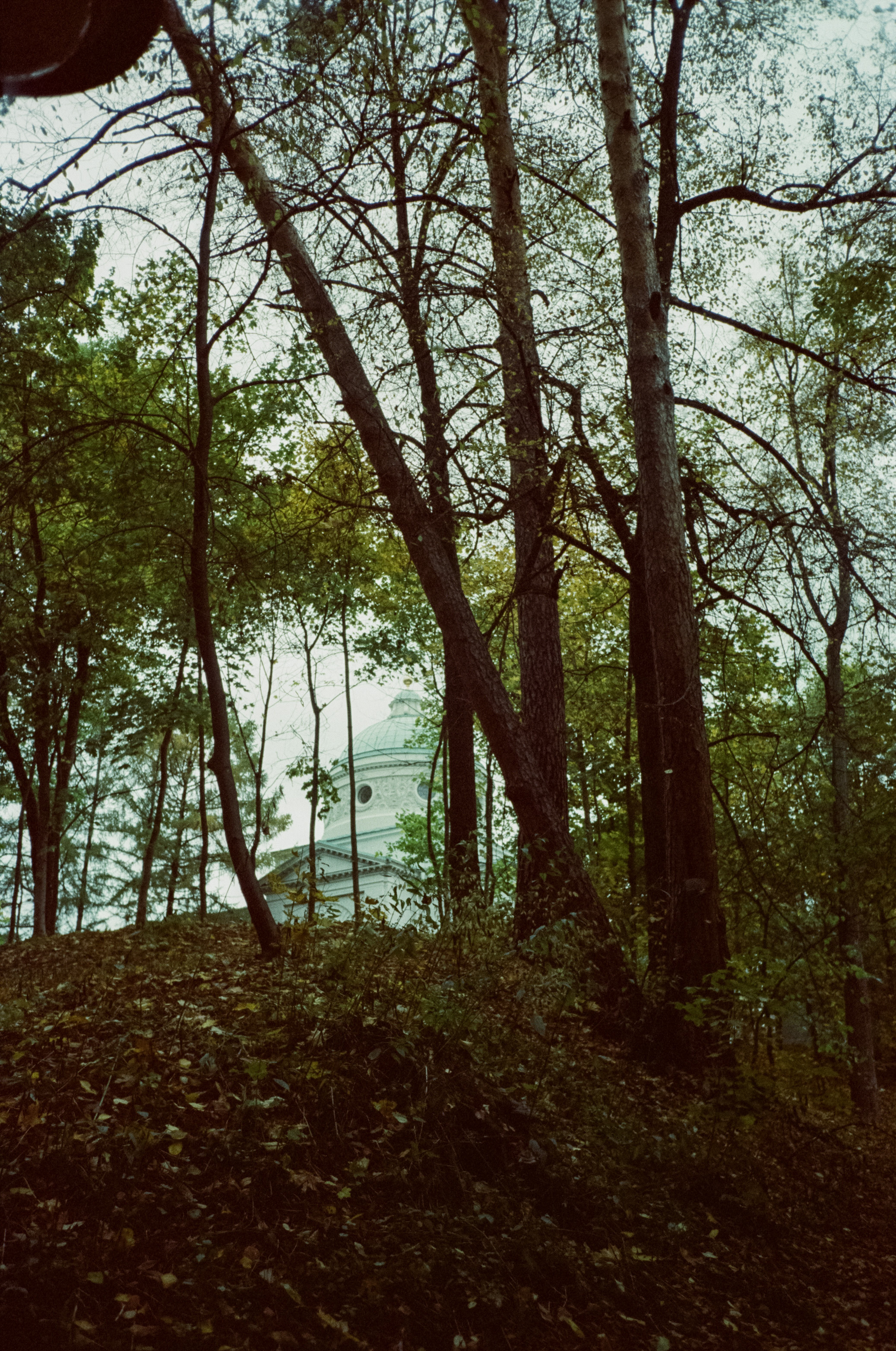 Архангельское. Начало осени. Фотограф-документалист Мария Осокина