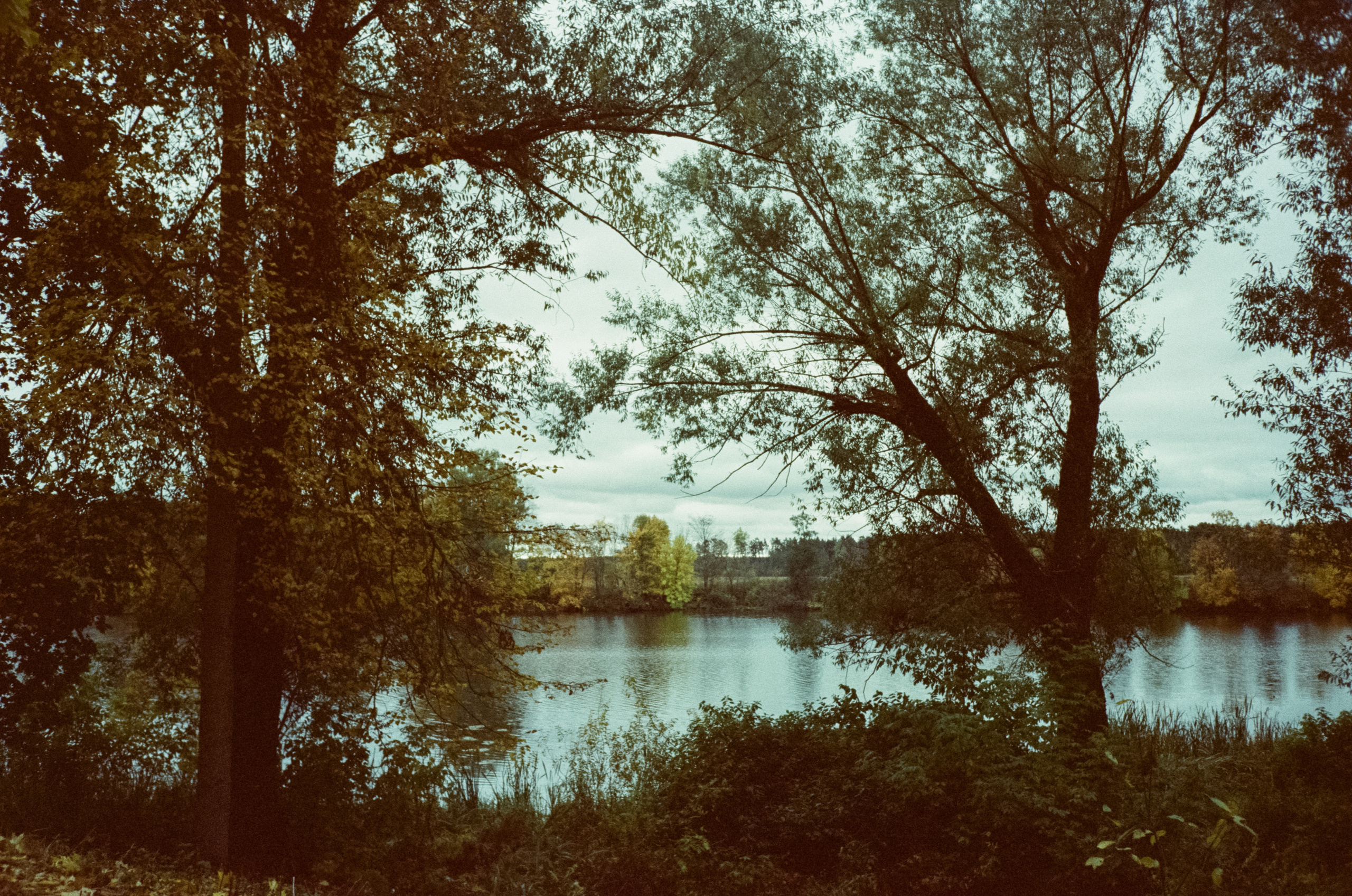Архангельское. Начало осени. Фотограф-документалист Мария Осокина