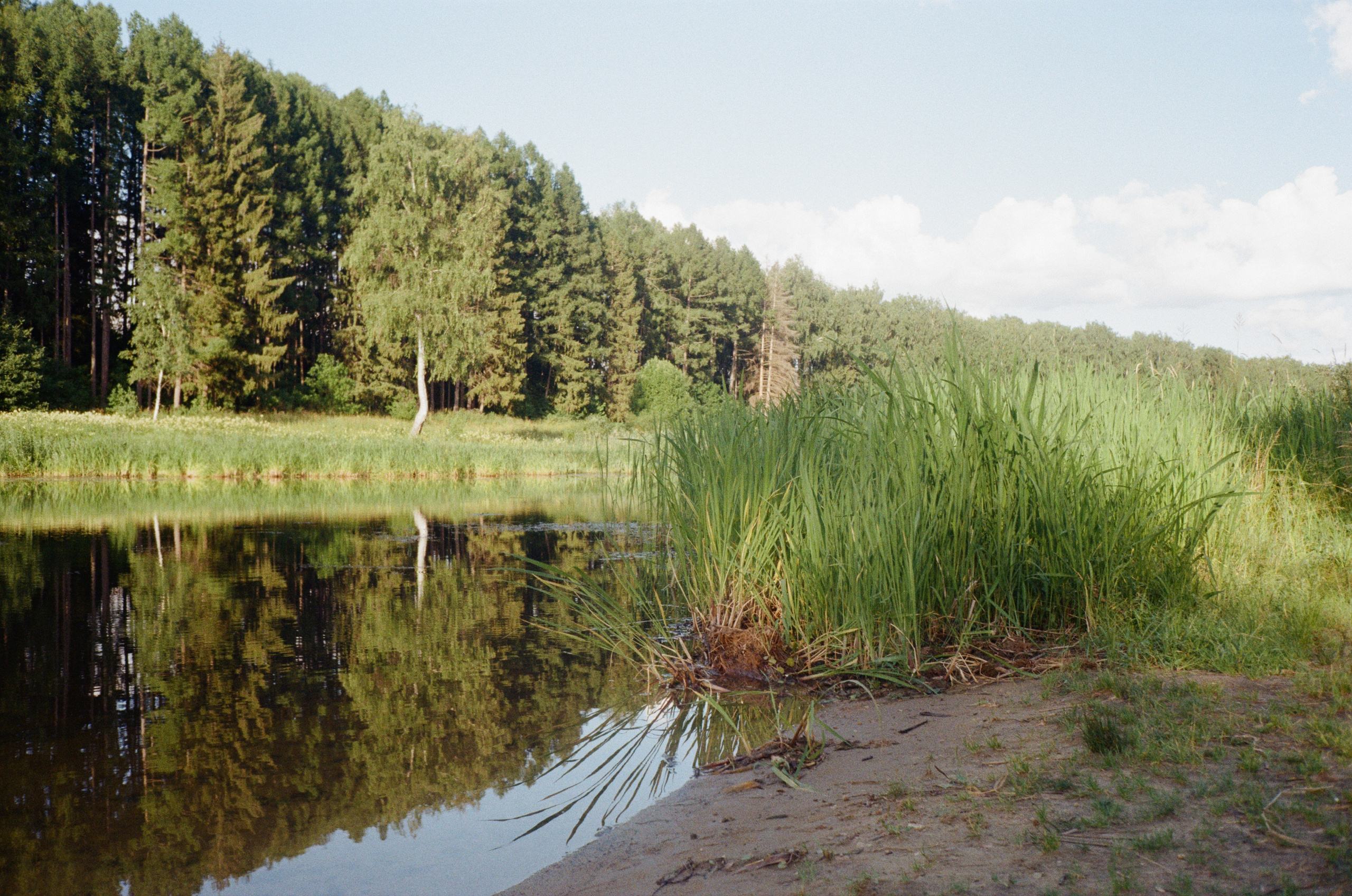 Тихая Заводь. Вечерние прогулки. Фотограф-документалист Мария Осокина