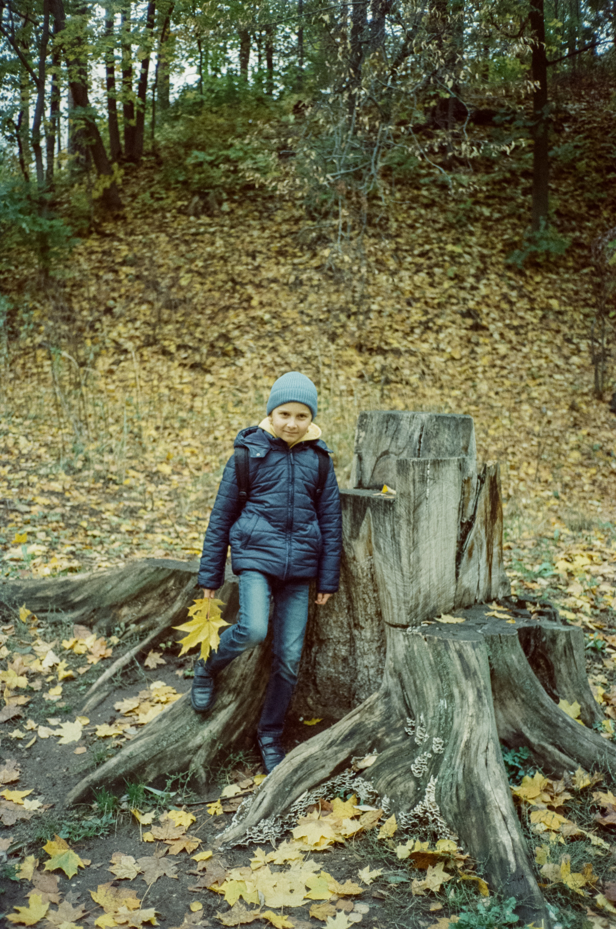 Архангельское. Начало осени. Фотограф-документалист Мария Осокина