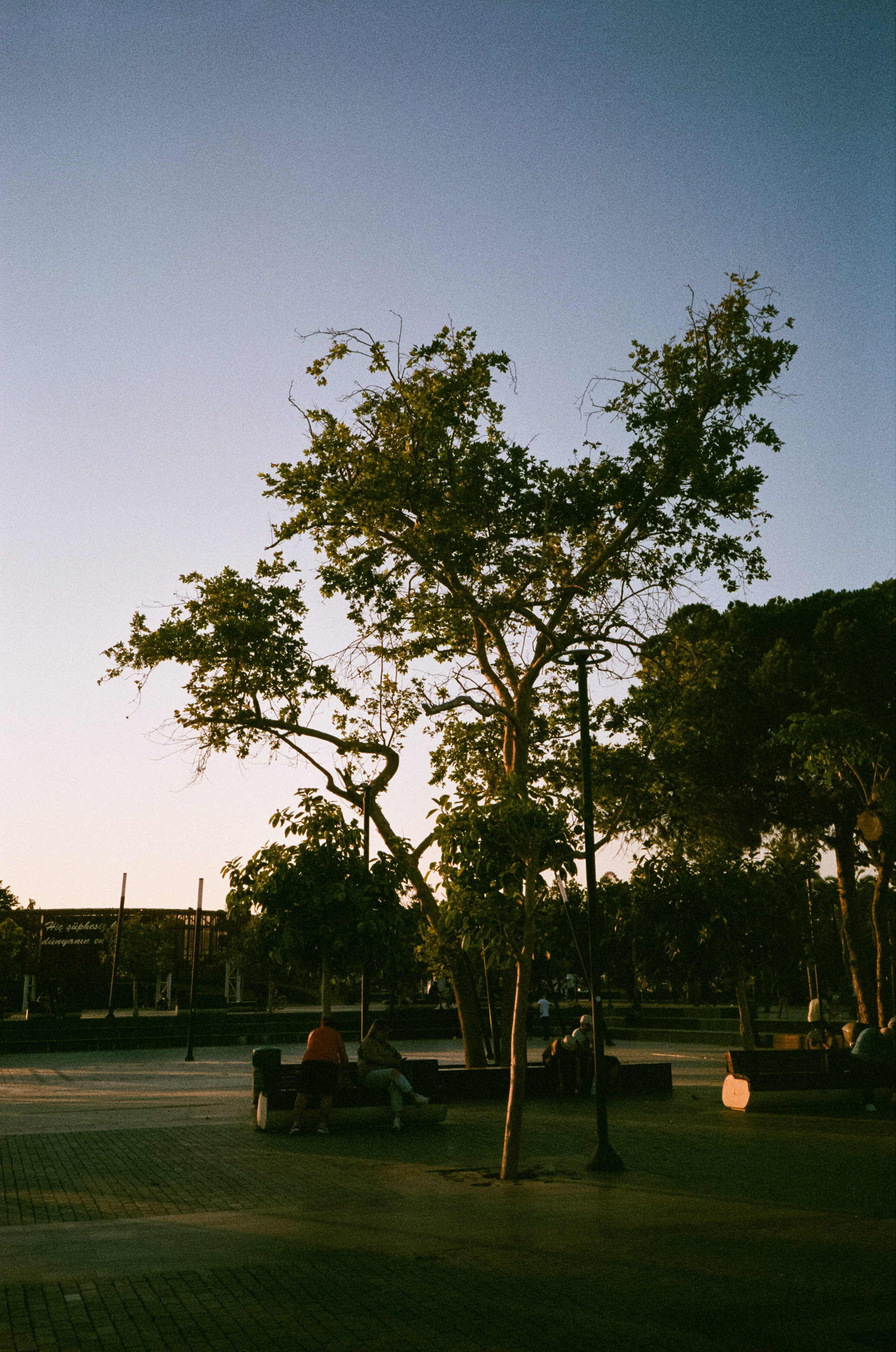 Вечерний город, улочка баров, пальмы и рассвет нового дня. Фотограф-документалист Мария Осокина