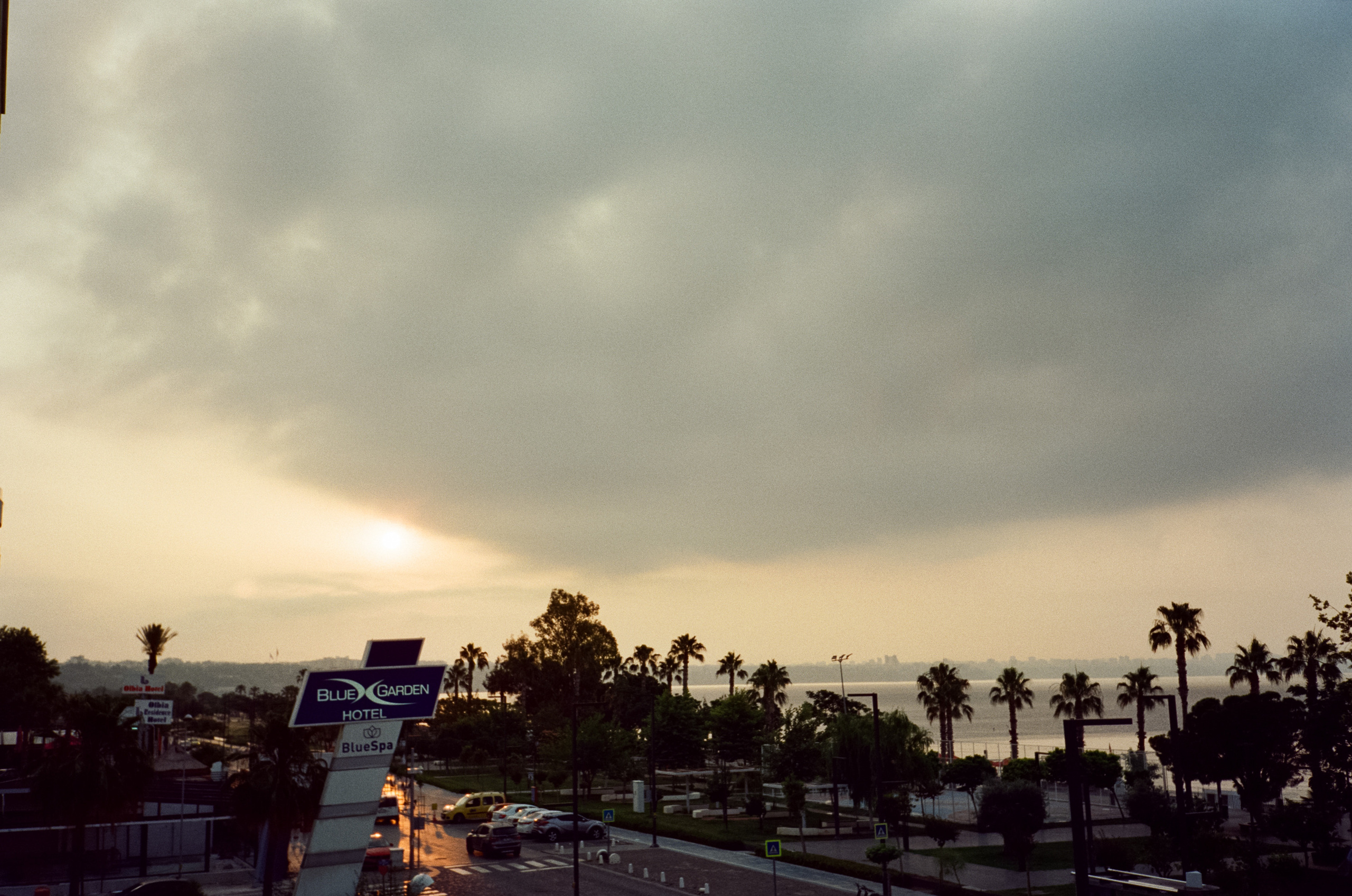 Улочки старого города, котики и кафе GeLatte. Фотограф-документалист Мария Осокина