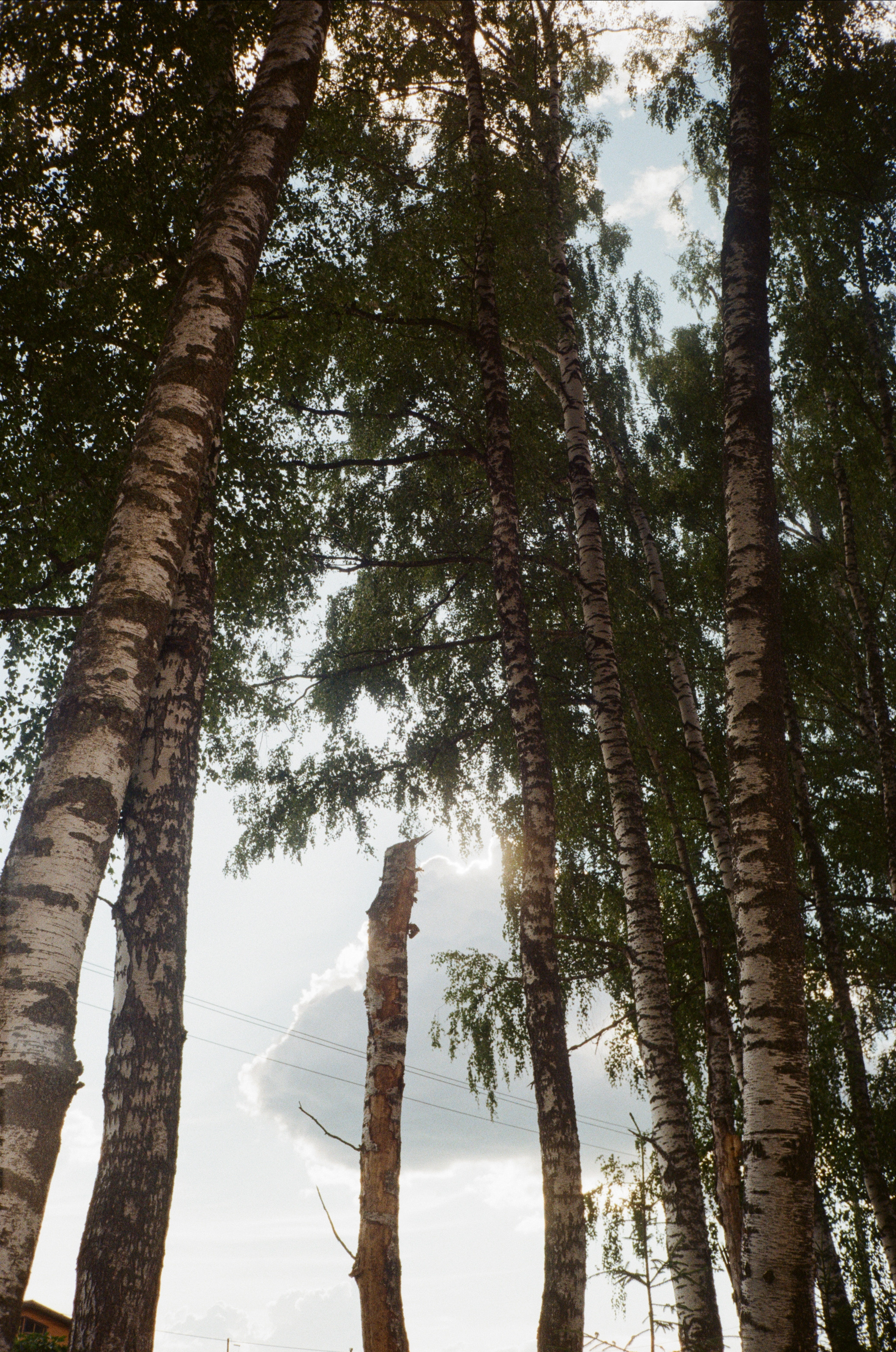 Тихая Заводь. Вечерние прогулки. Фотограф-документалист Мария Осокина