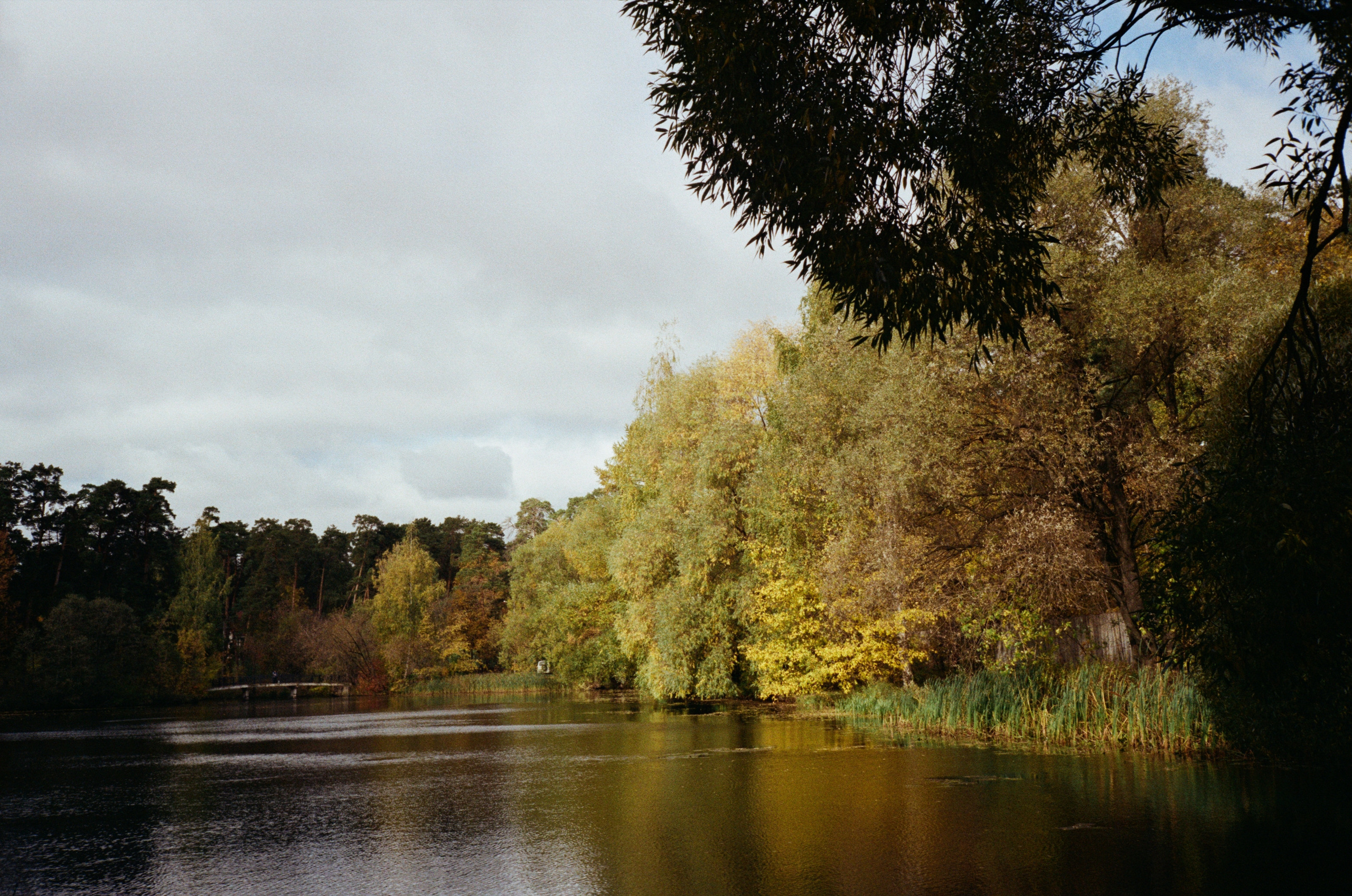 Серебряный Бор. Октябрь. Фотограф-документалист Мария Осокина