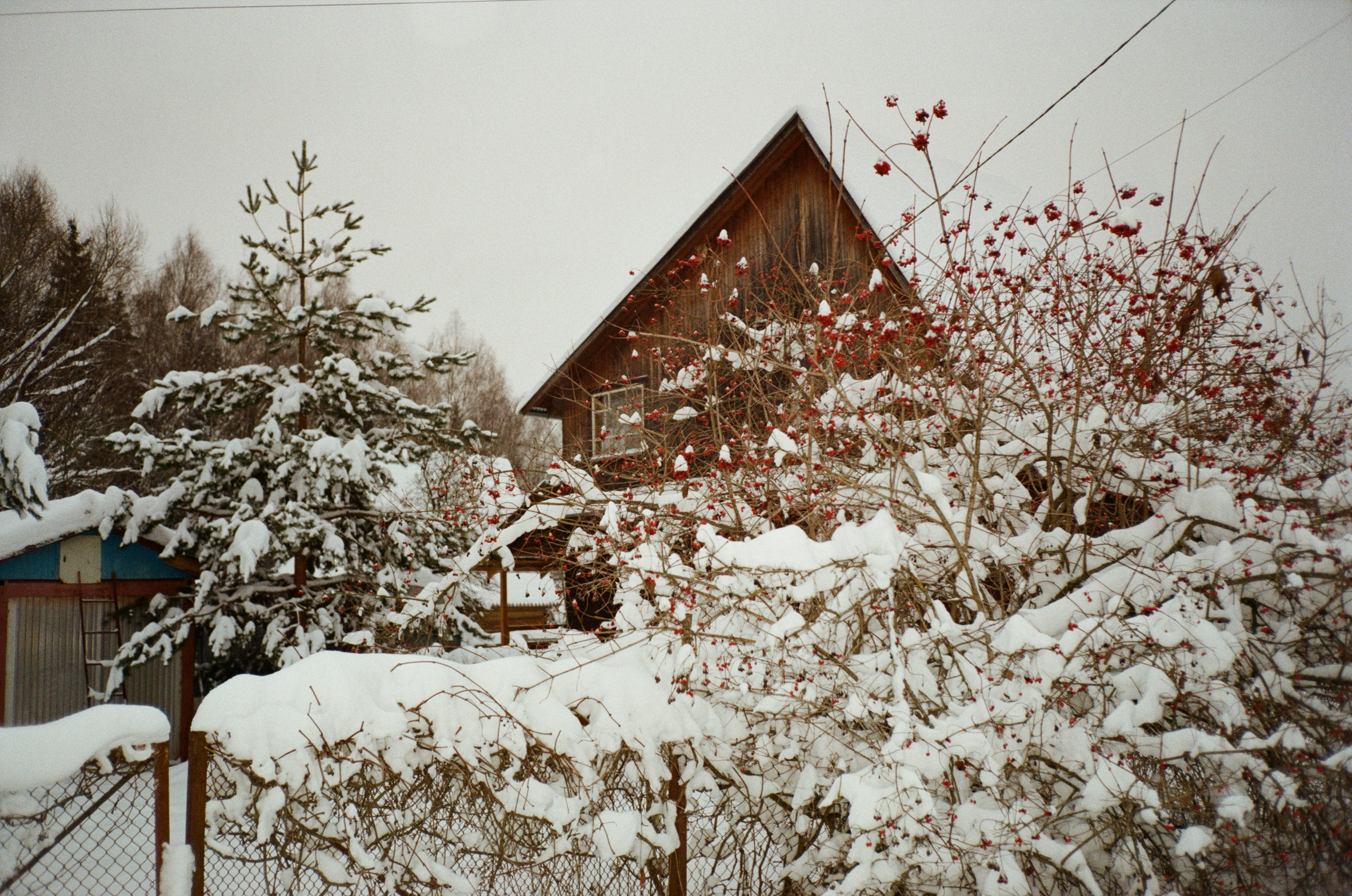 Давыдовское. Снежный декабрь. Фотограф-документалист Мария Осокина