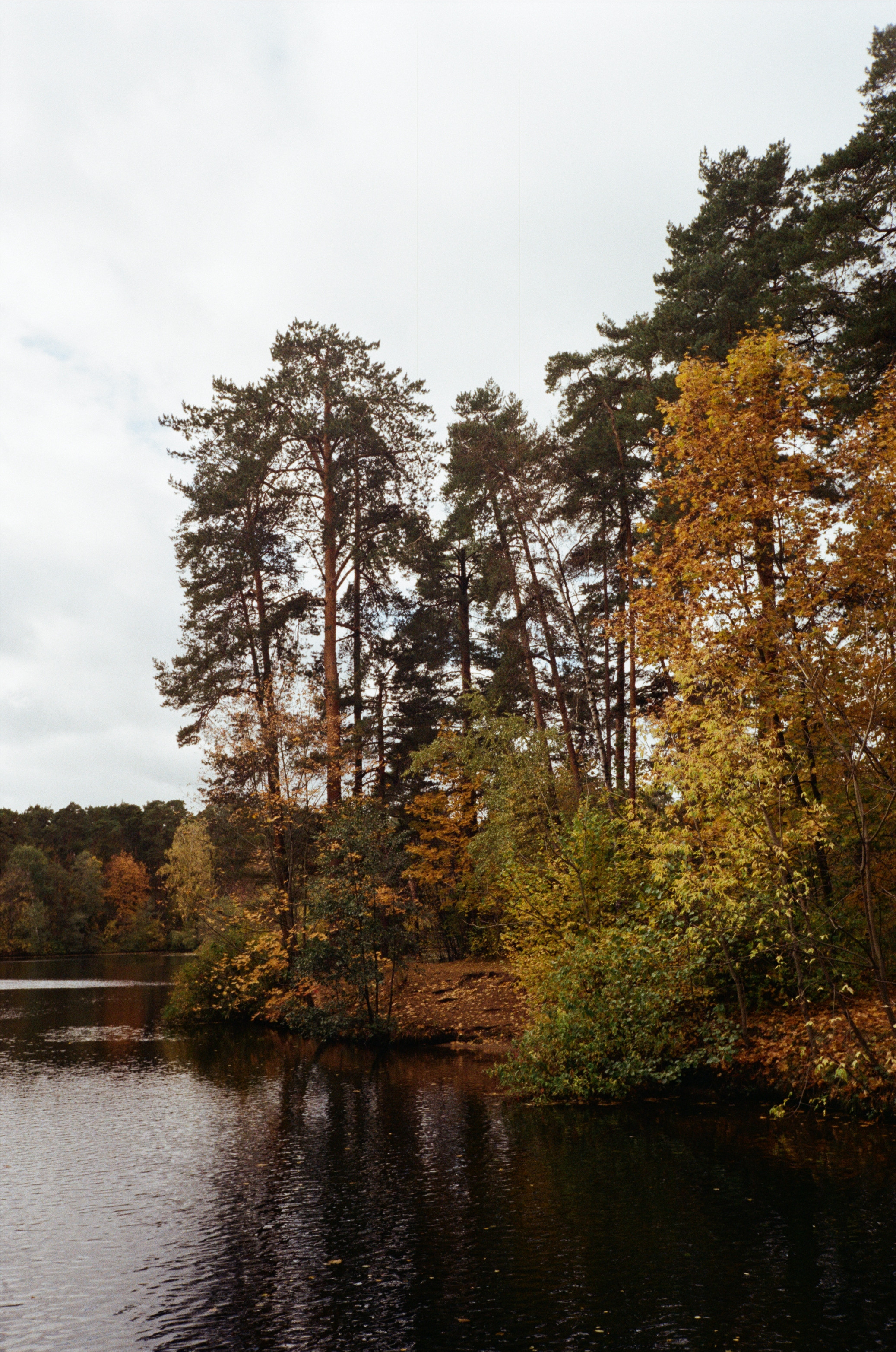 Серебряный Бор. Октябрь. Фотограф-документалист Мария Осокина