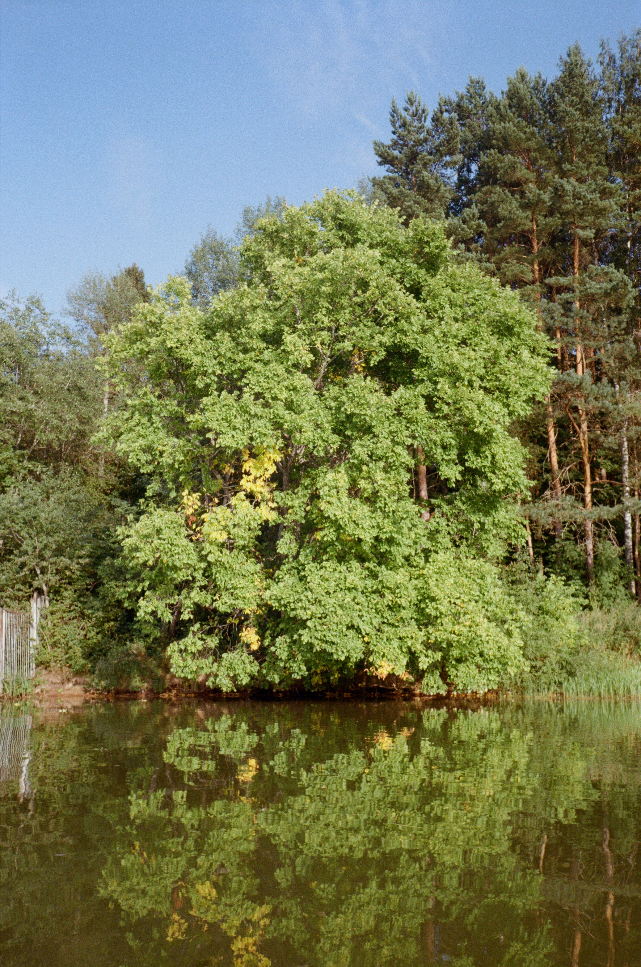 Тихая Заводь. Вечерний sup. Фотограф-документалист Мария Осокина