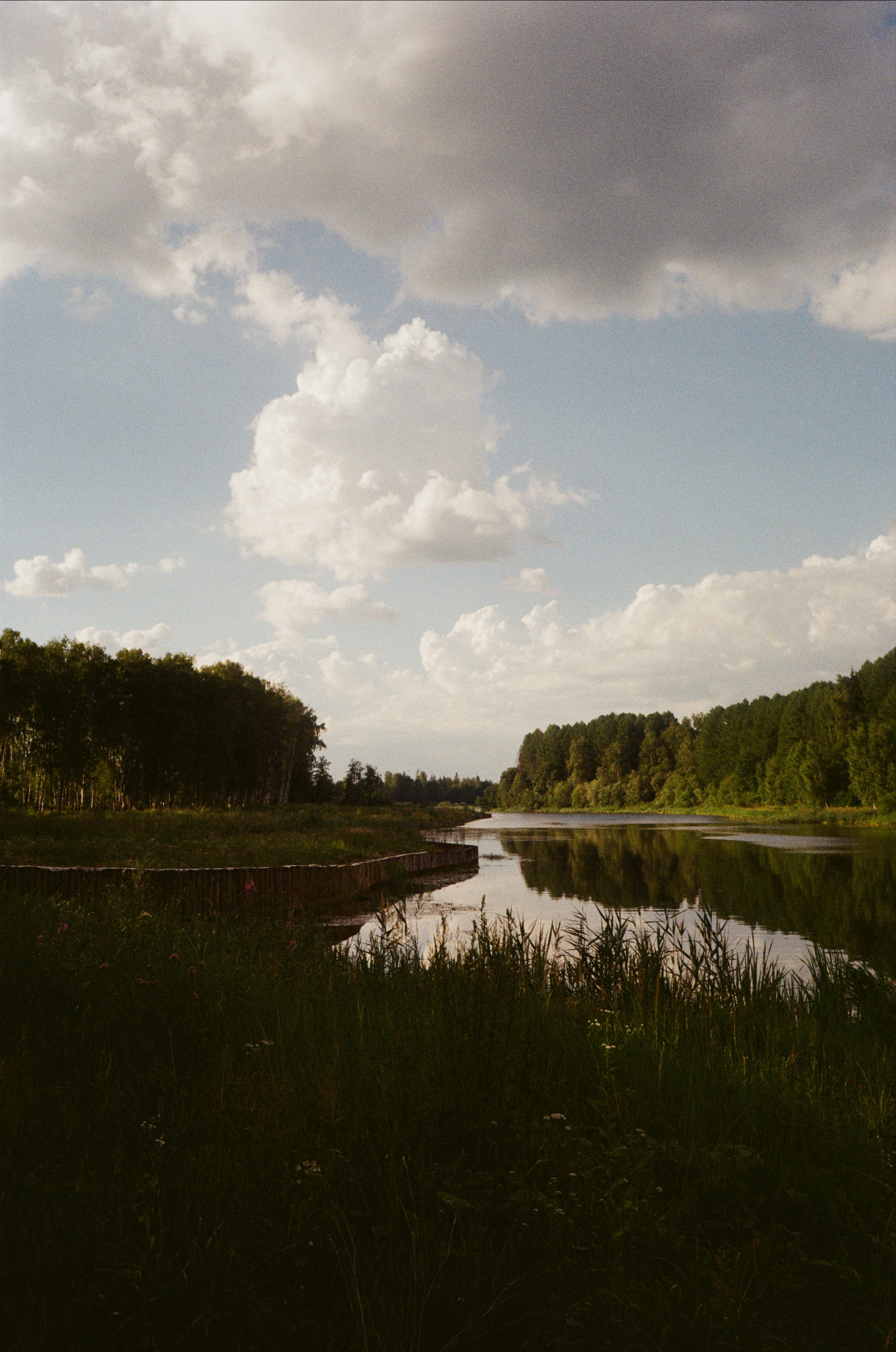 Тихая Заводь. Вечерние прогулки. Фотограф-документалист Мария Осокина