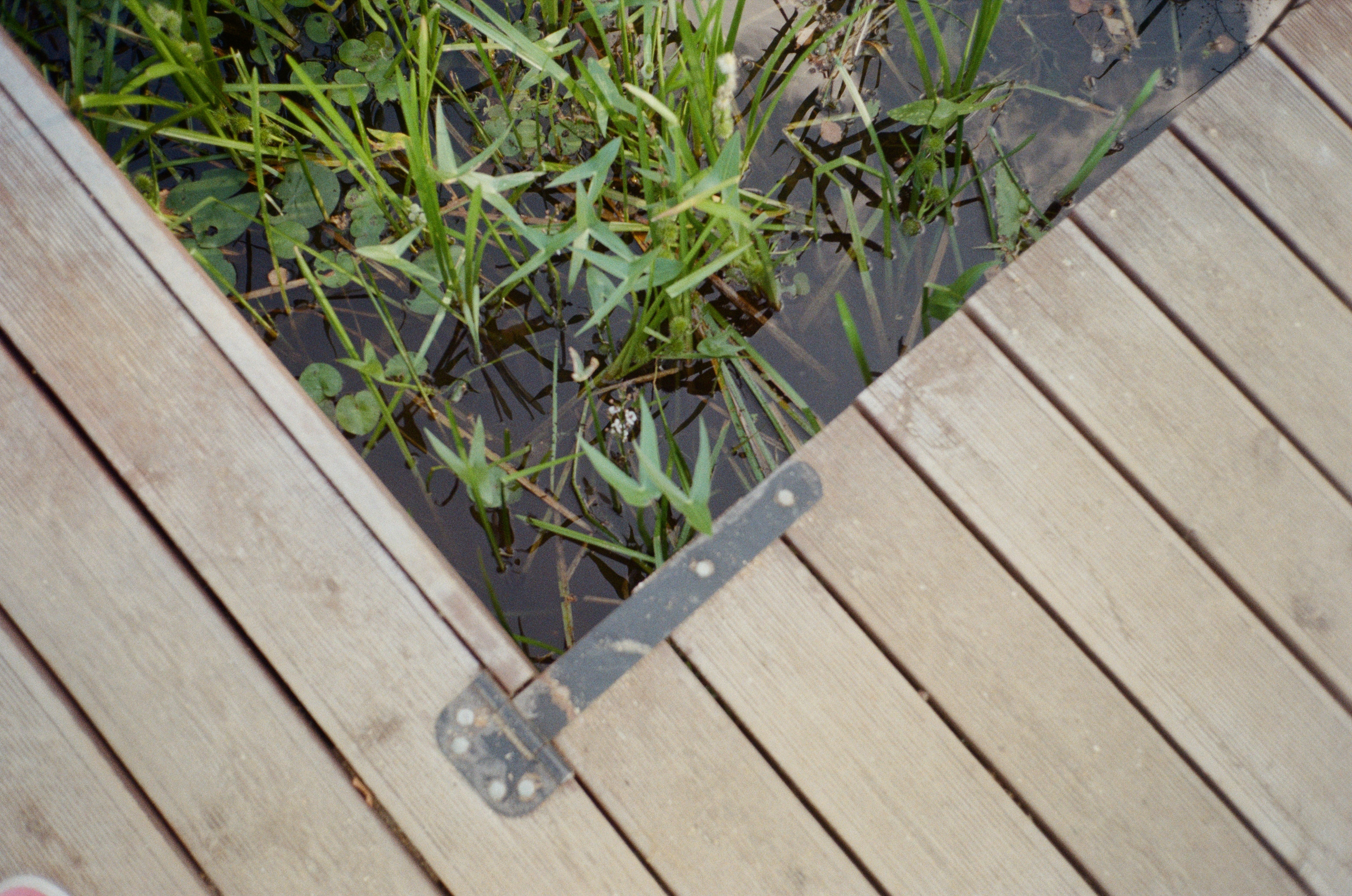 Тихая Заводь. Golden hour. Фотограф-документалист Мария Осокина