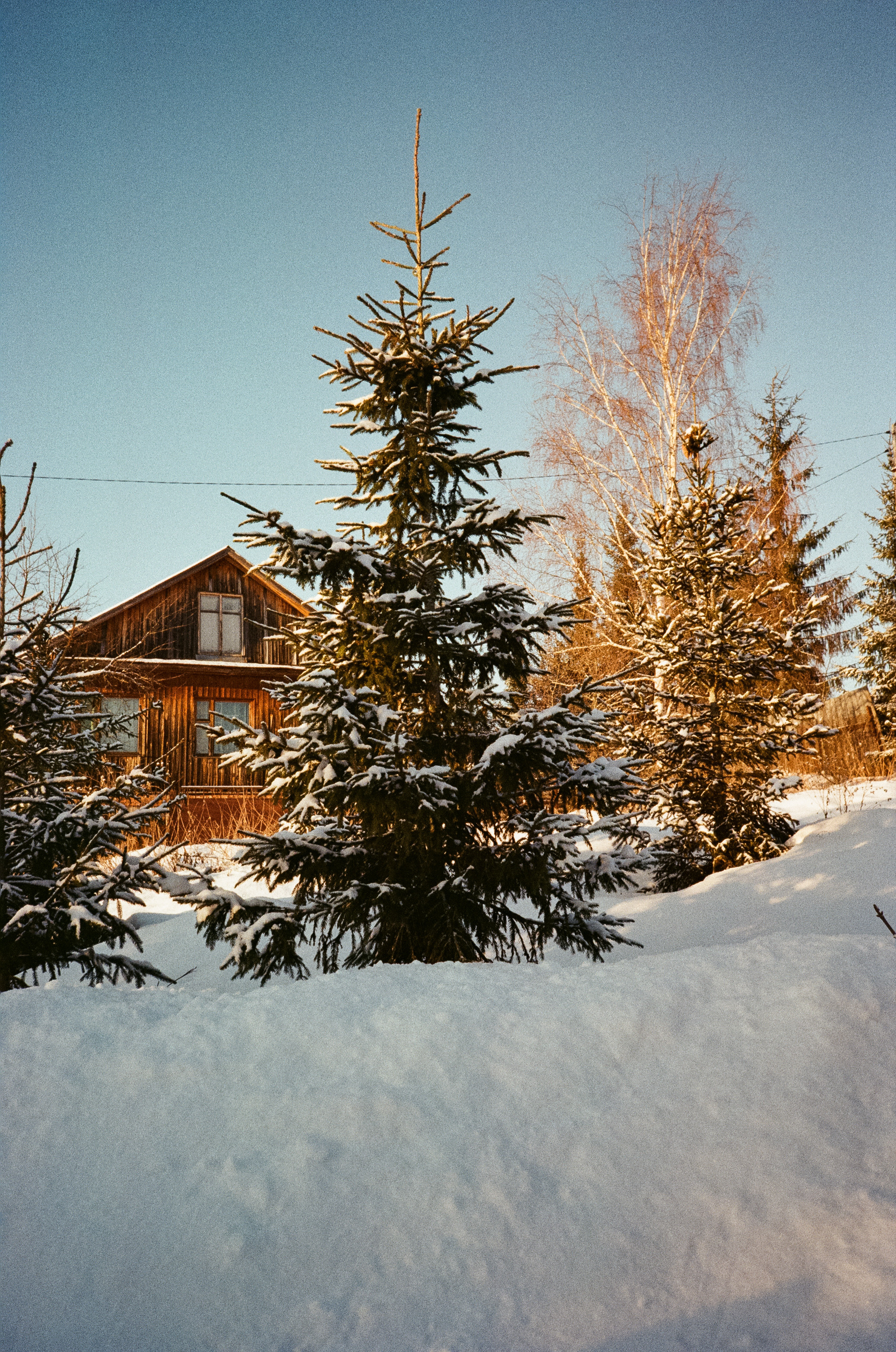 Деревня Лукино. Дорога. Фотограф-документалист Мария Осокина