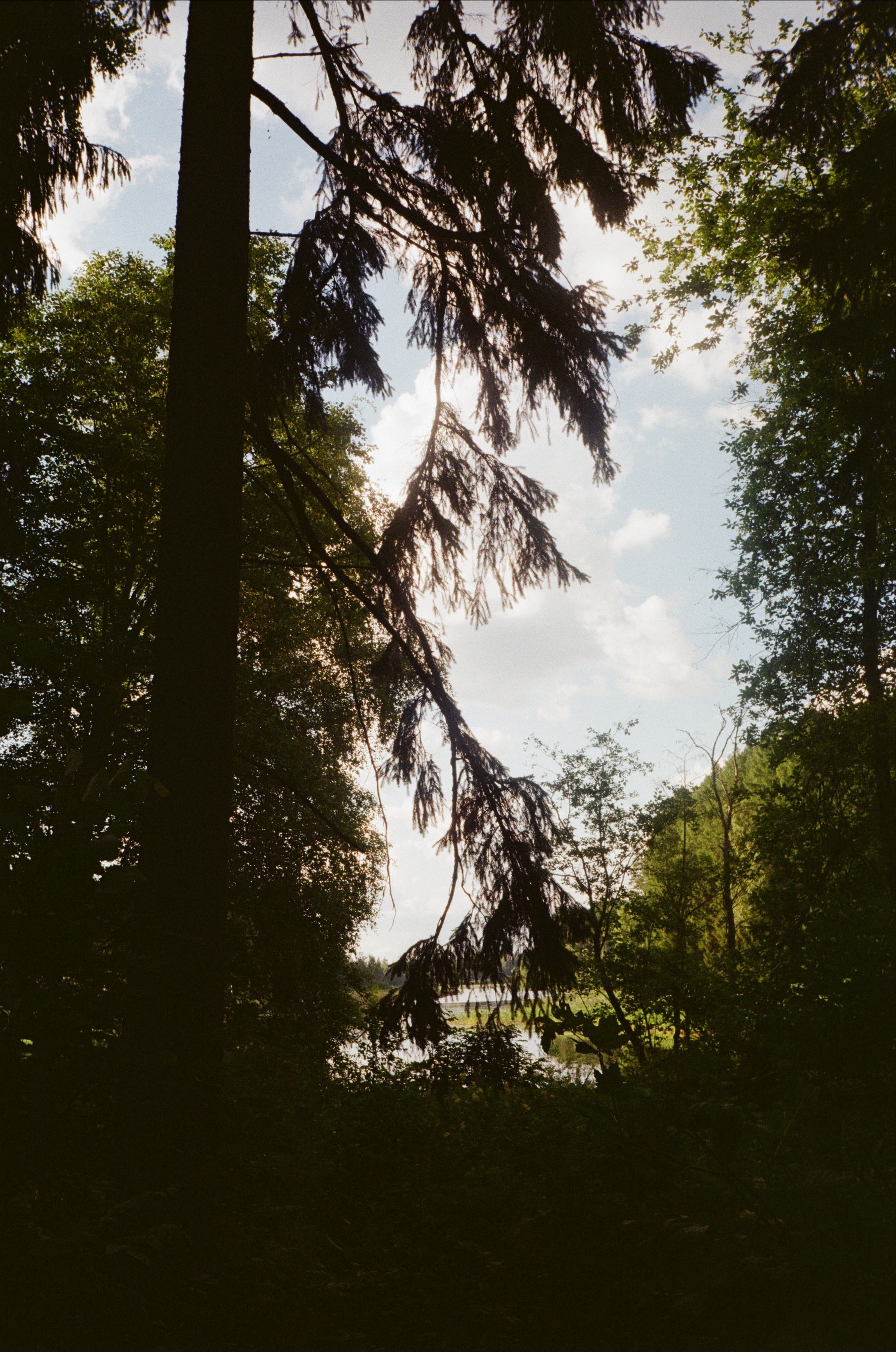 Тихая Заводь. Вечерние прогулки. Фотограф-документалист Мария Осокина