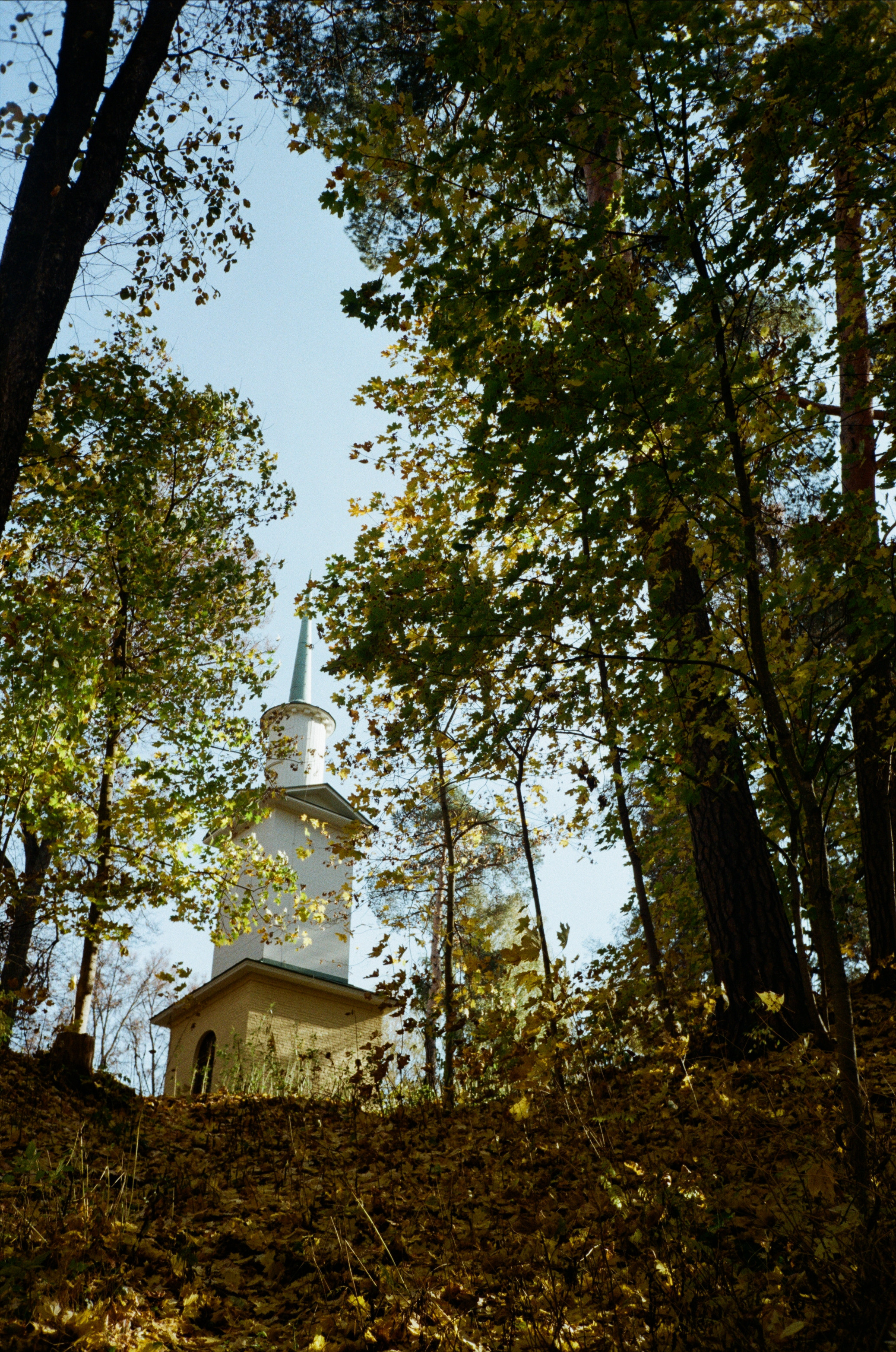 Архангельское. Золотая осень. Фотограф-документалист Мария Осокина