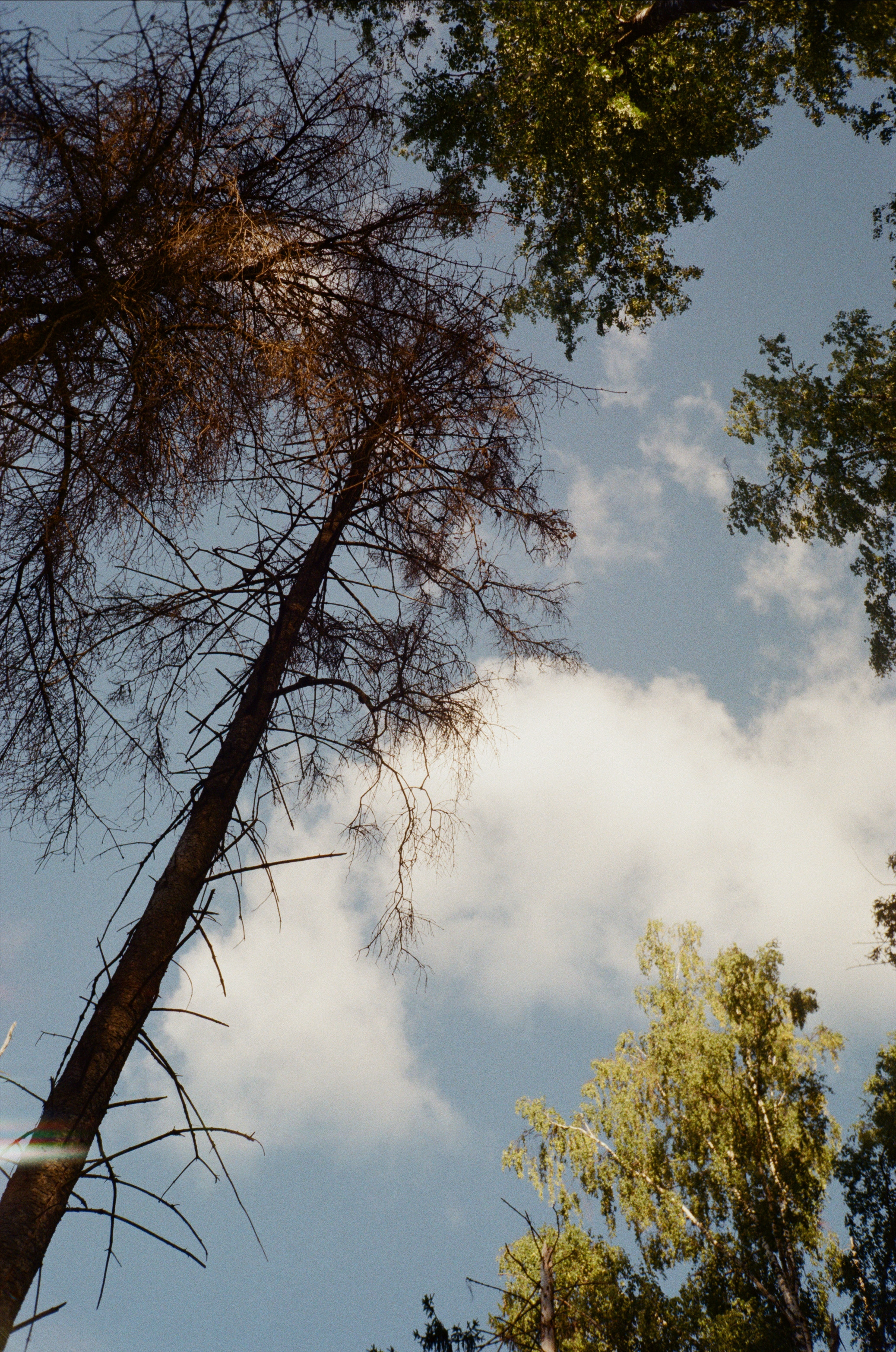 Тихая Заводь. Golden hour. Фотограф-документалист Мария Осокина