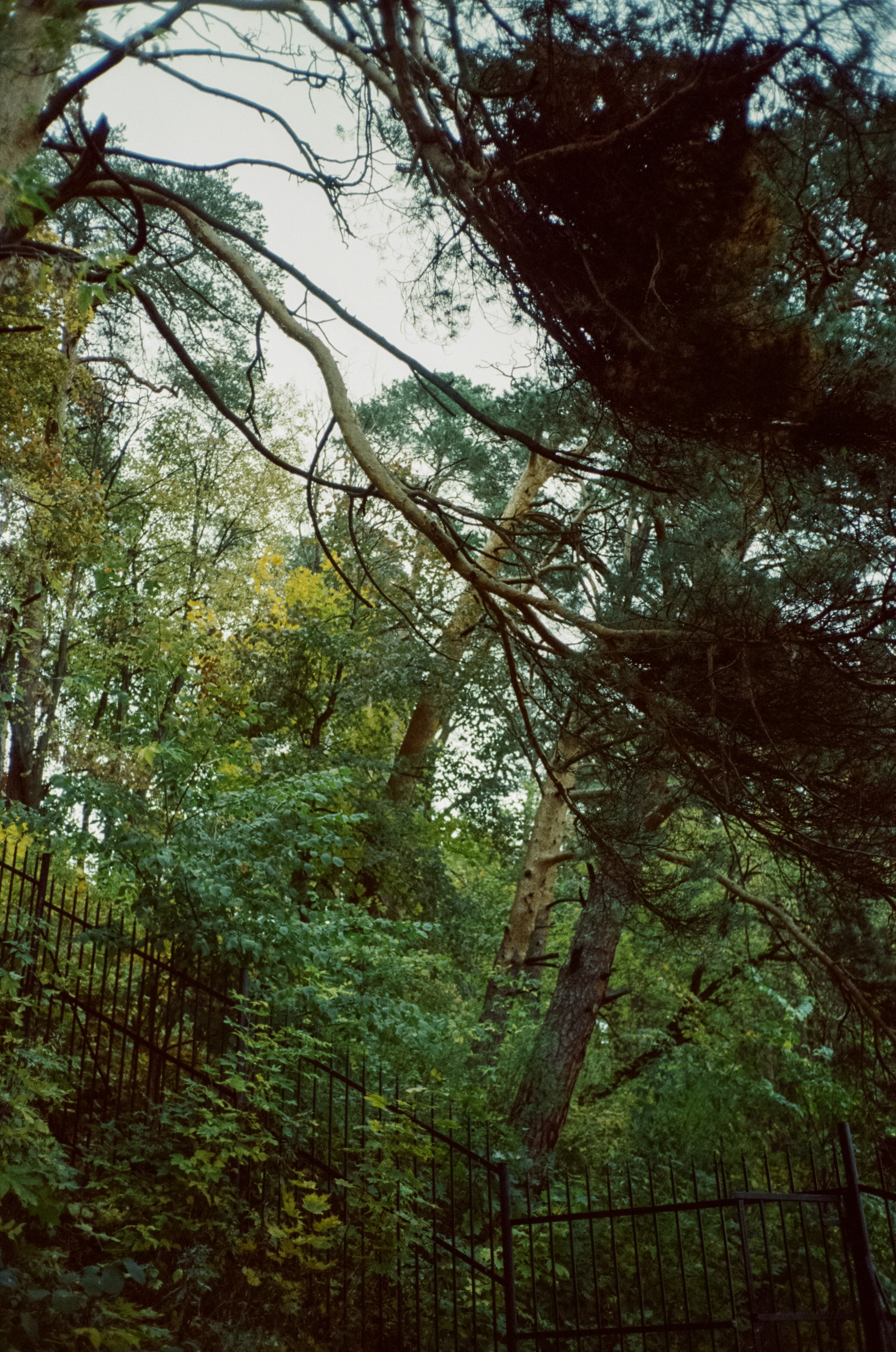 Архангельское. Начало осени. Фотограф-документалист Мария Осокина