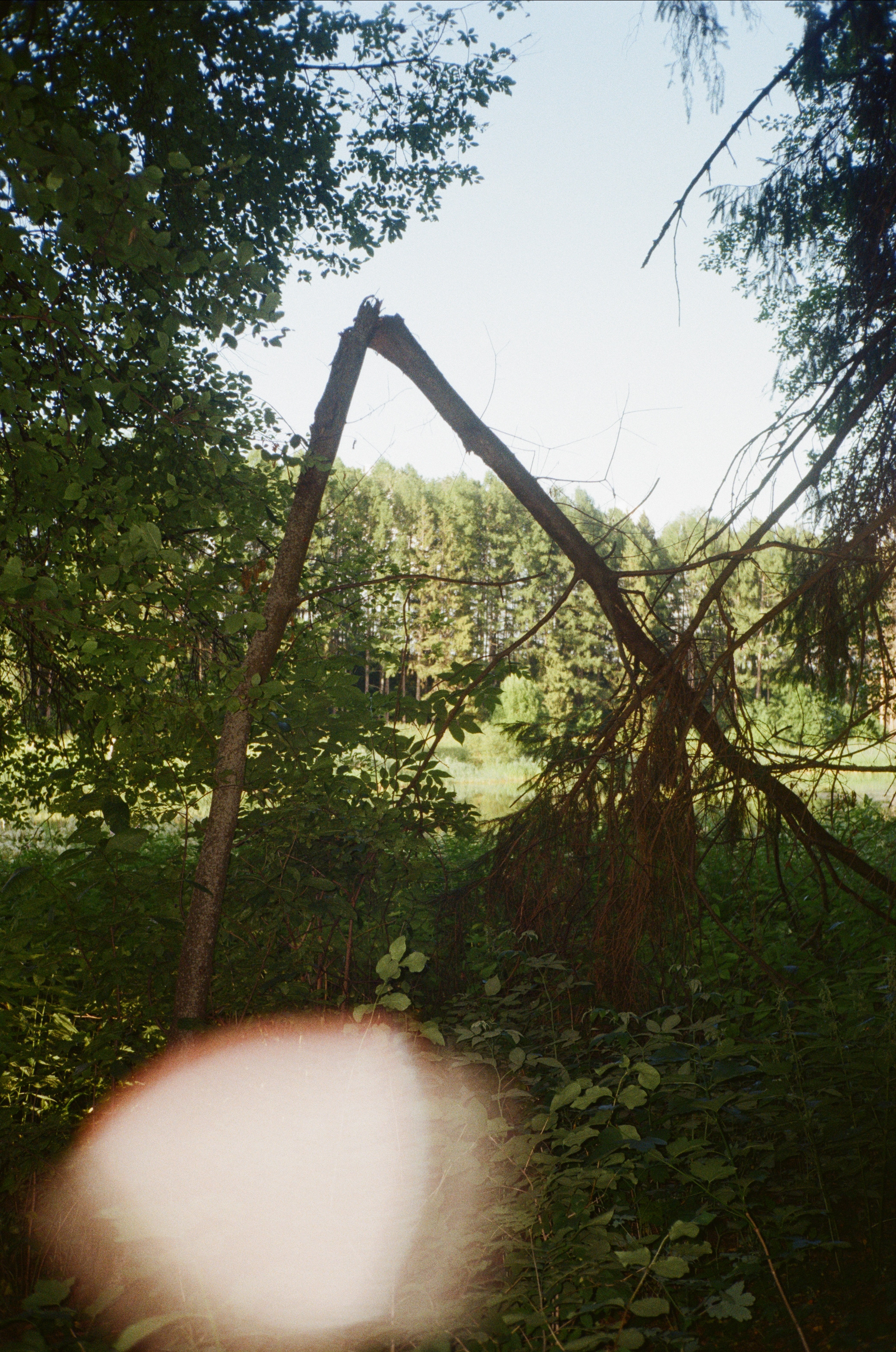 Тихая Заводь. Вечерние прогулки. Фотограф-документалист Мария Осокина