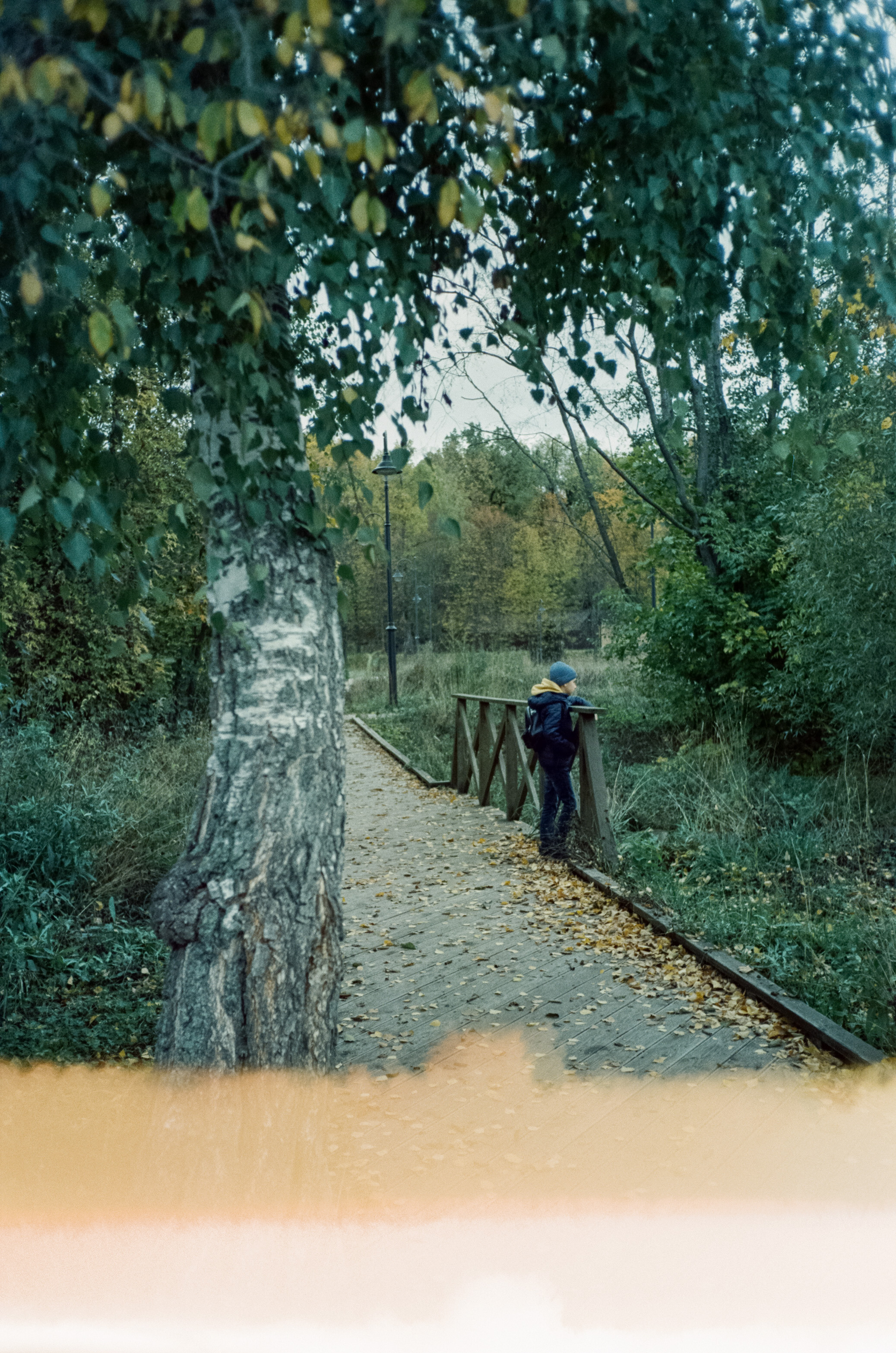 Архангельское. Начало осени. Фотограф-документалист Мария Осокина