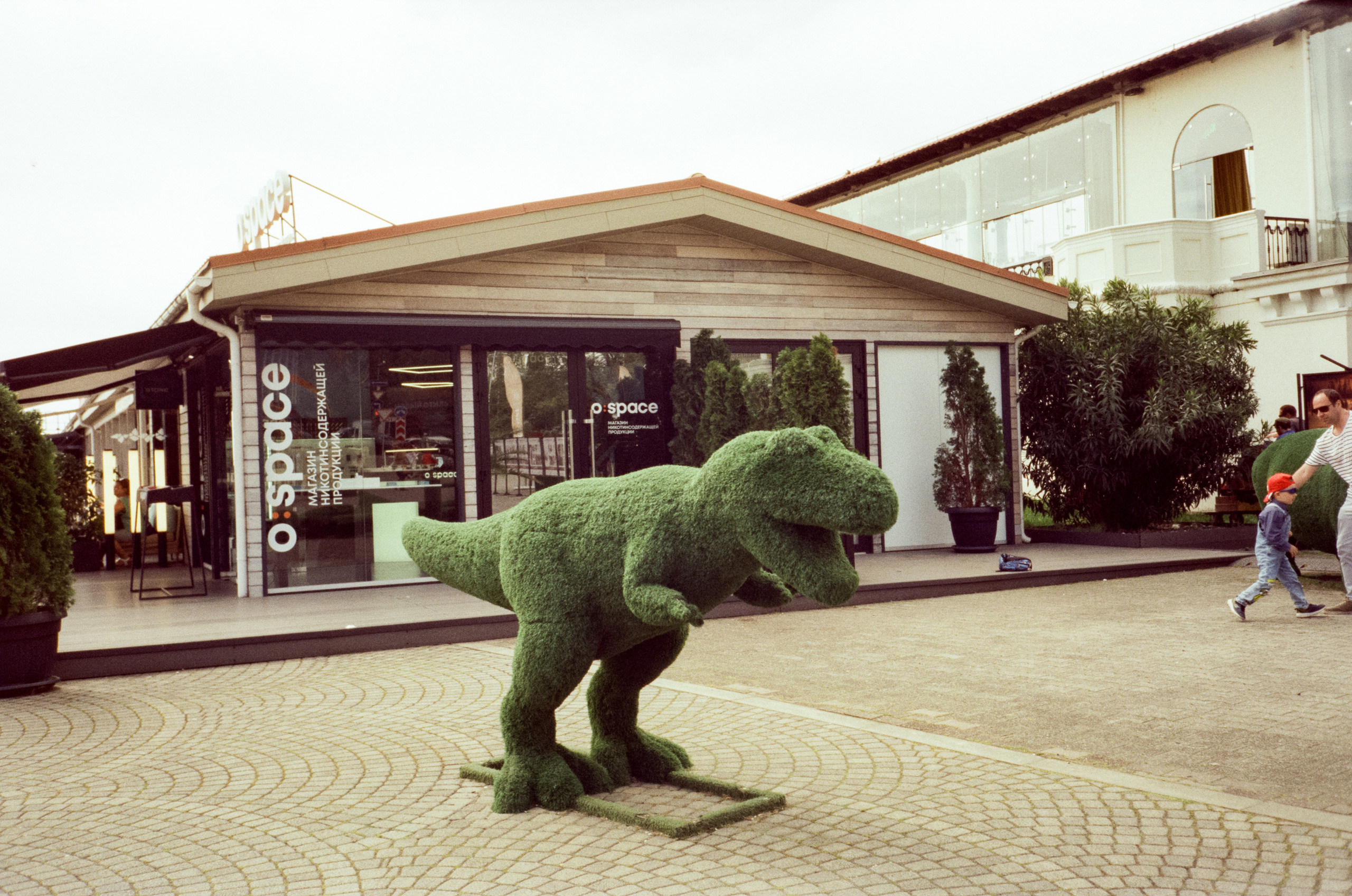 Прогулка по набережной Сочи: море, пальмы и уютная кофейня. Фотограф-документалист Мария Осокина