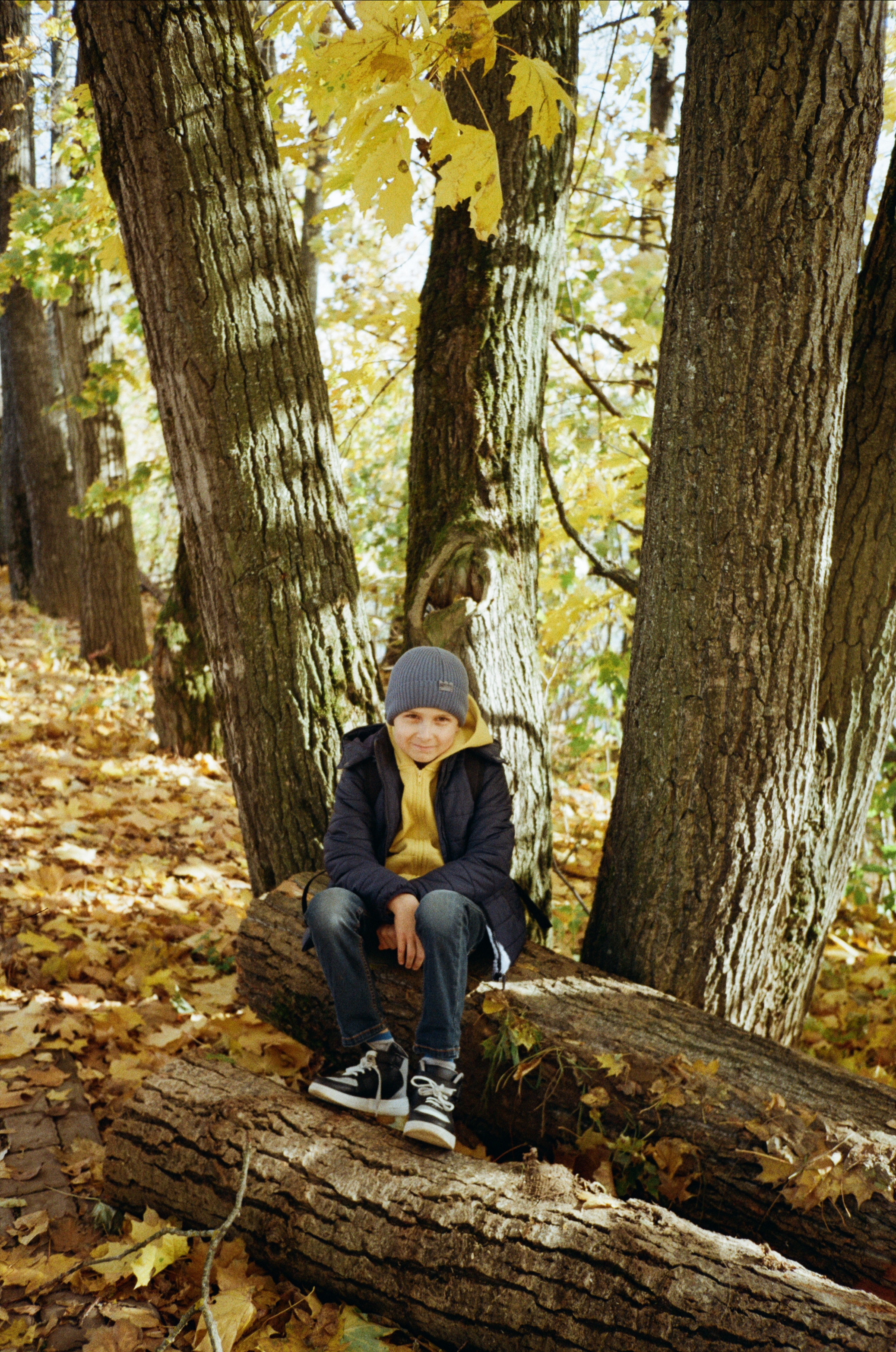 Архангельское. Золотая осень. Фотограф-документалист Мария Осокина