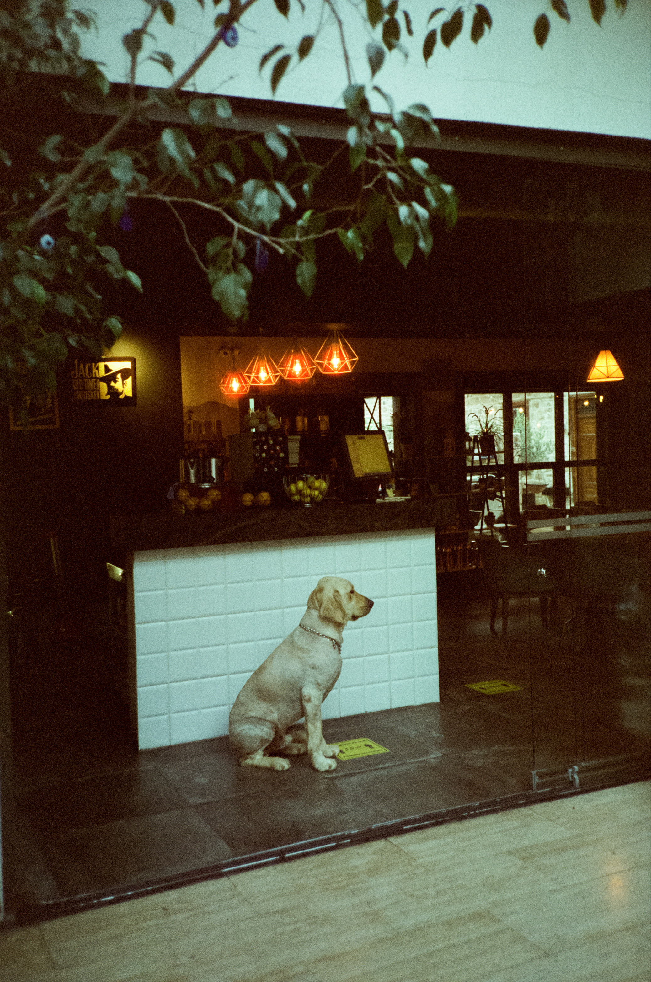 Route Burger House кафе в старом городе Антальи. Фотограф-документалист Мария Осокина