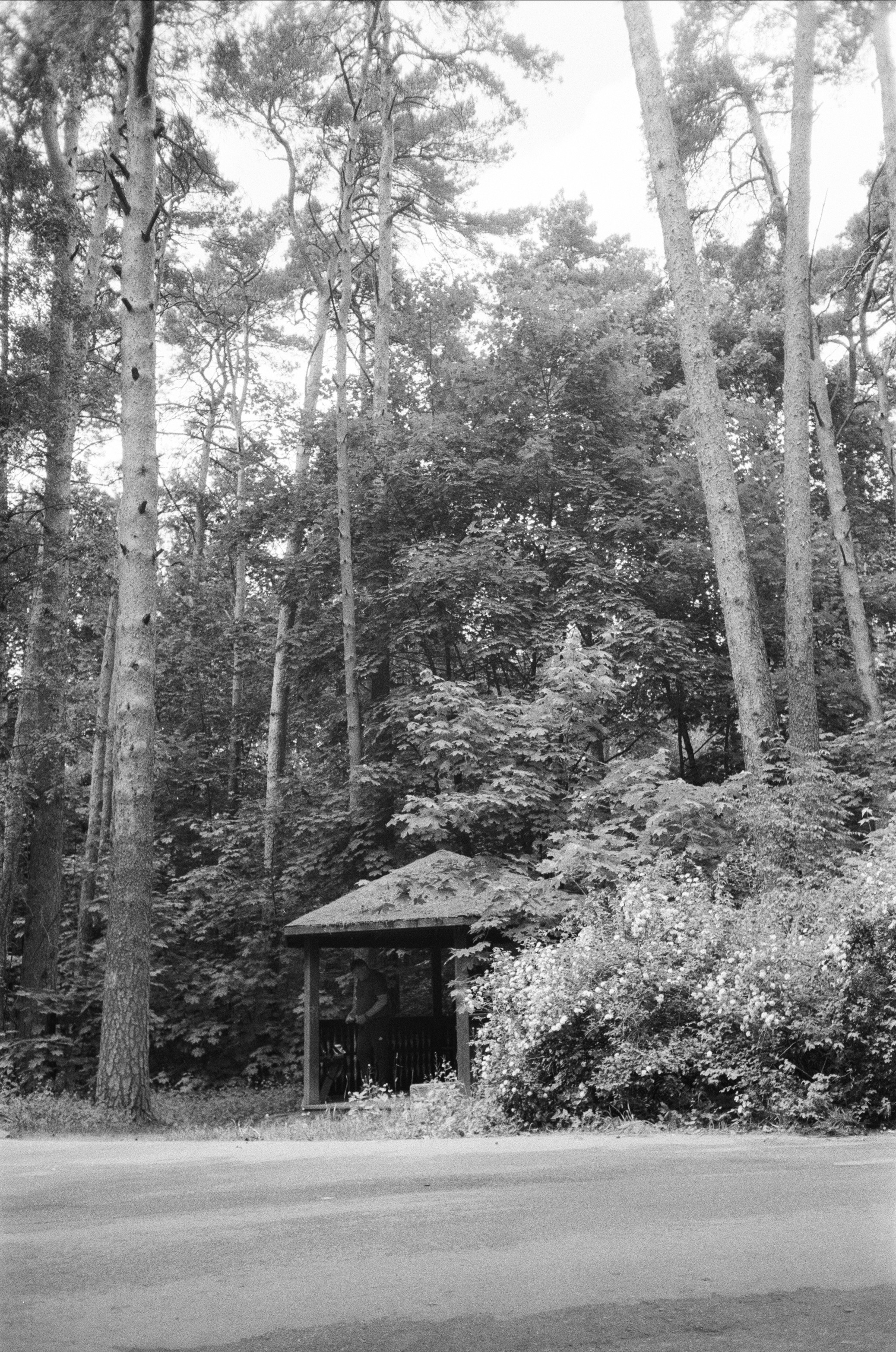 Серебряный Бор. Лето в ч/б. Фотограф-документалист Мария Осокина