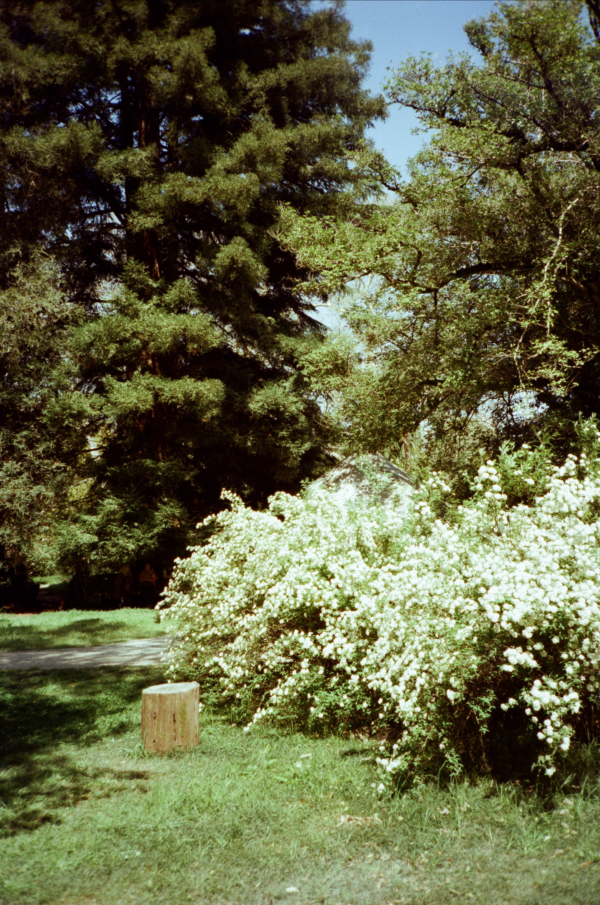 Экзотика Южных культур. Фотограф-документалист Мария Осокина