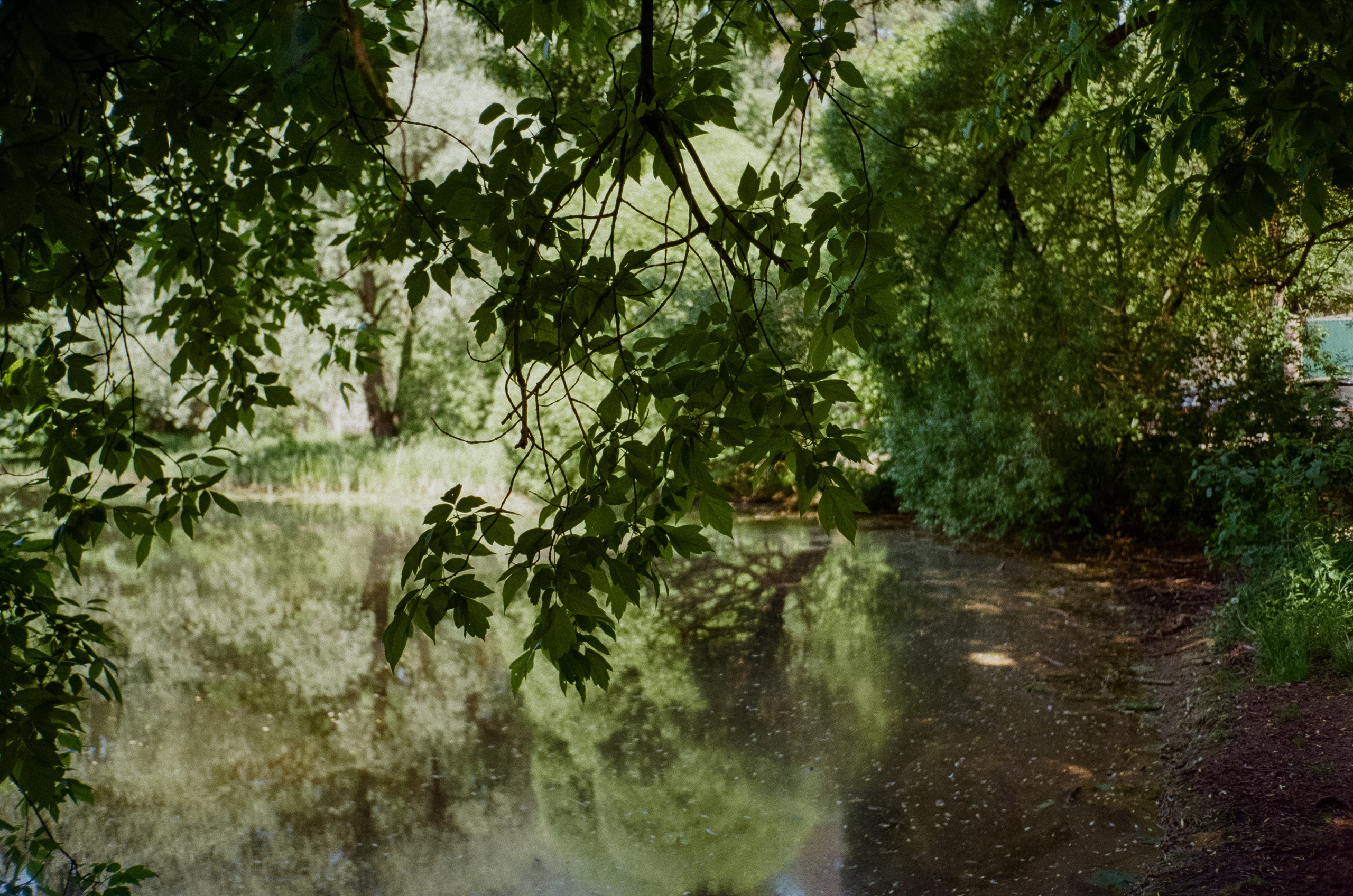 Серебряный Бор. Импрессионизм. Фотограф-документалист Мария Осокина