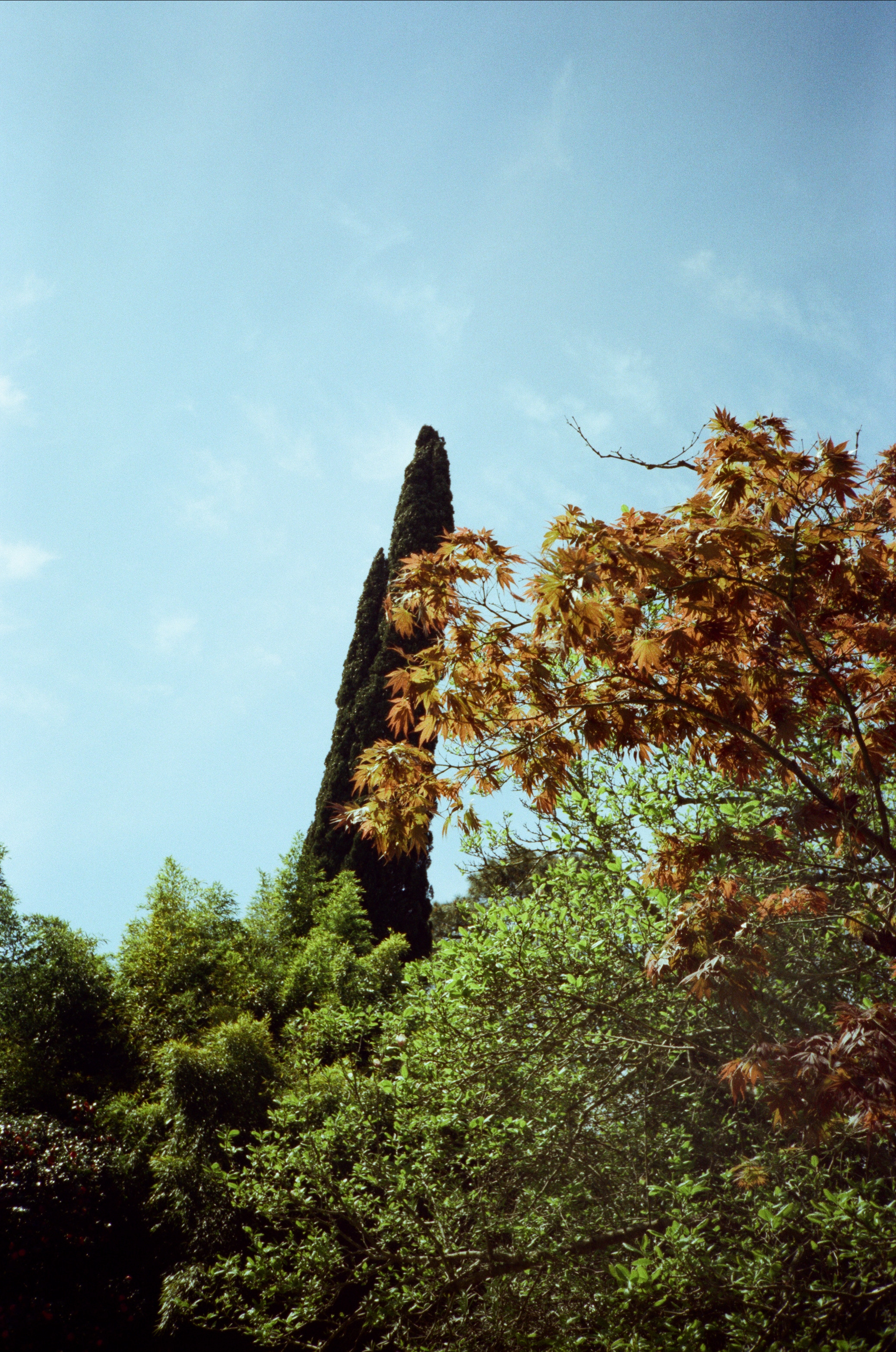 Экзотика Южных культур. Фотограф-документалист Мария Осокина